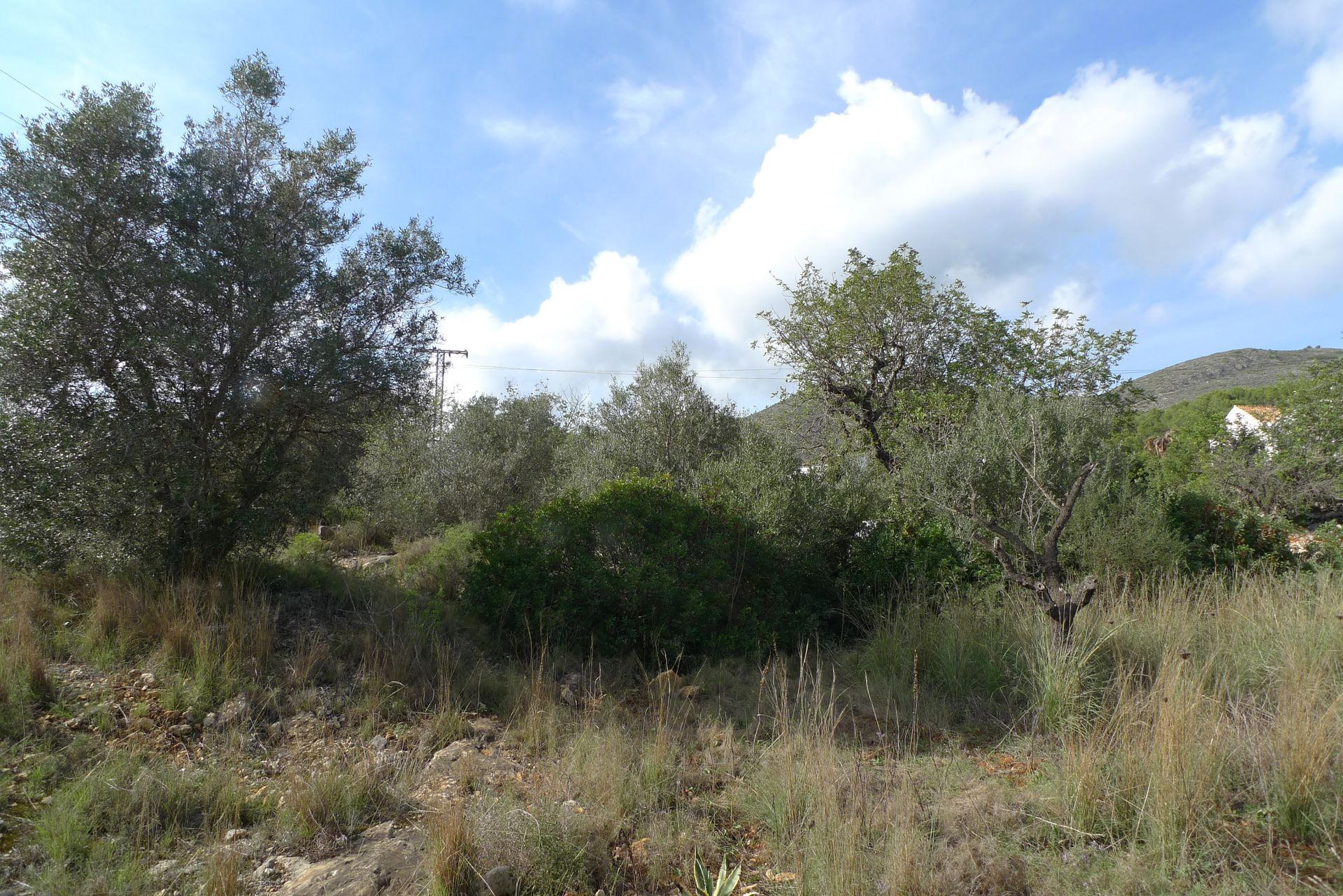 Land in Lliber, Valencia 11501151