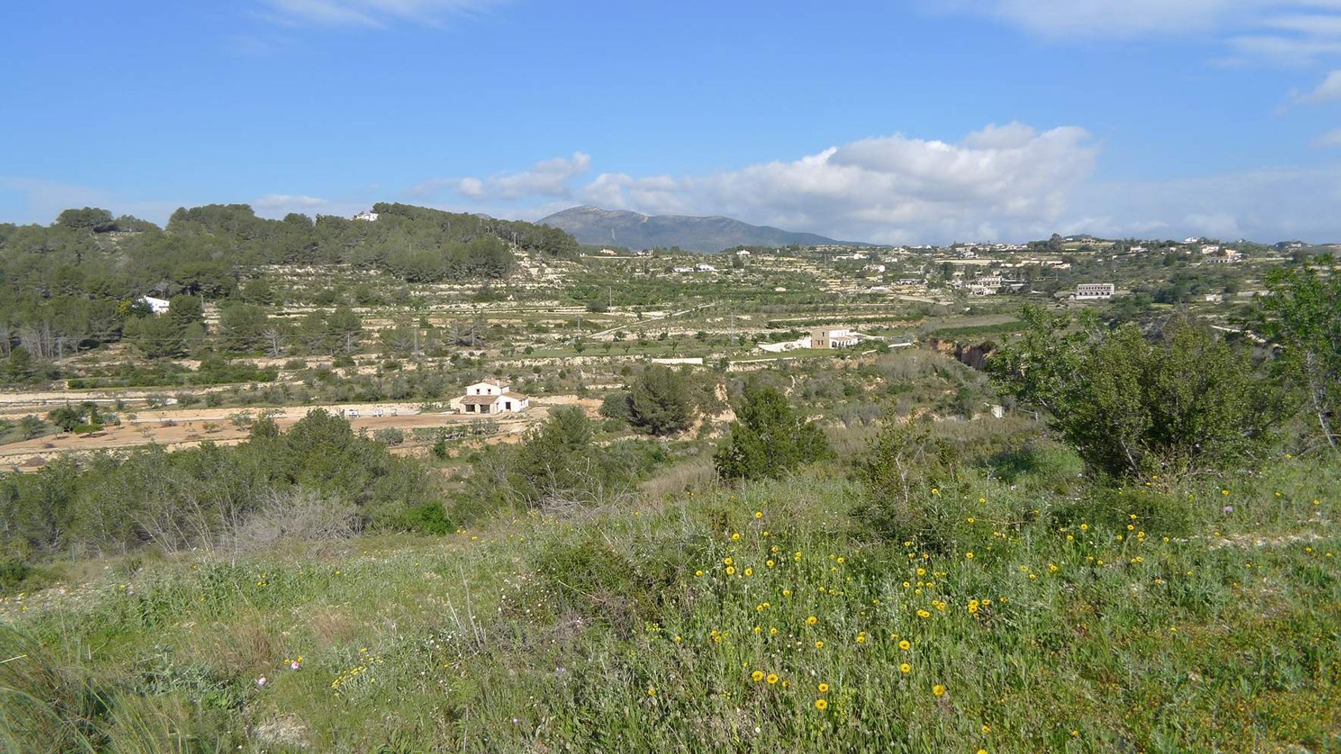 Tanah dalam Villafranqueza, Valencia 11501191