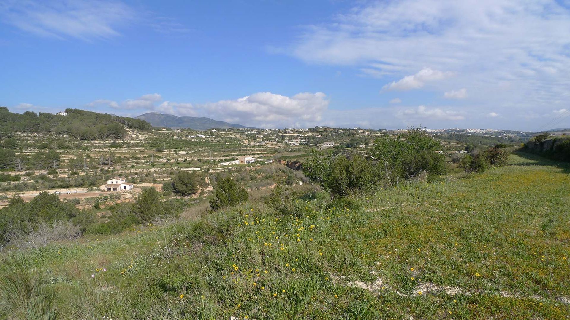 Tanah di Alicante (Alacant), Comunidad Valenciana 11501191