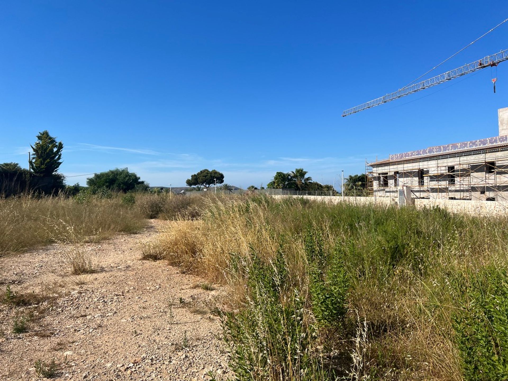 土地 在 Dénia, Comunidad Valenciana 11501225