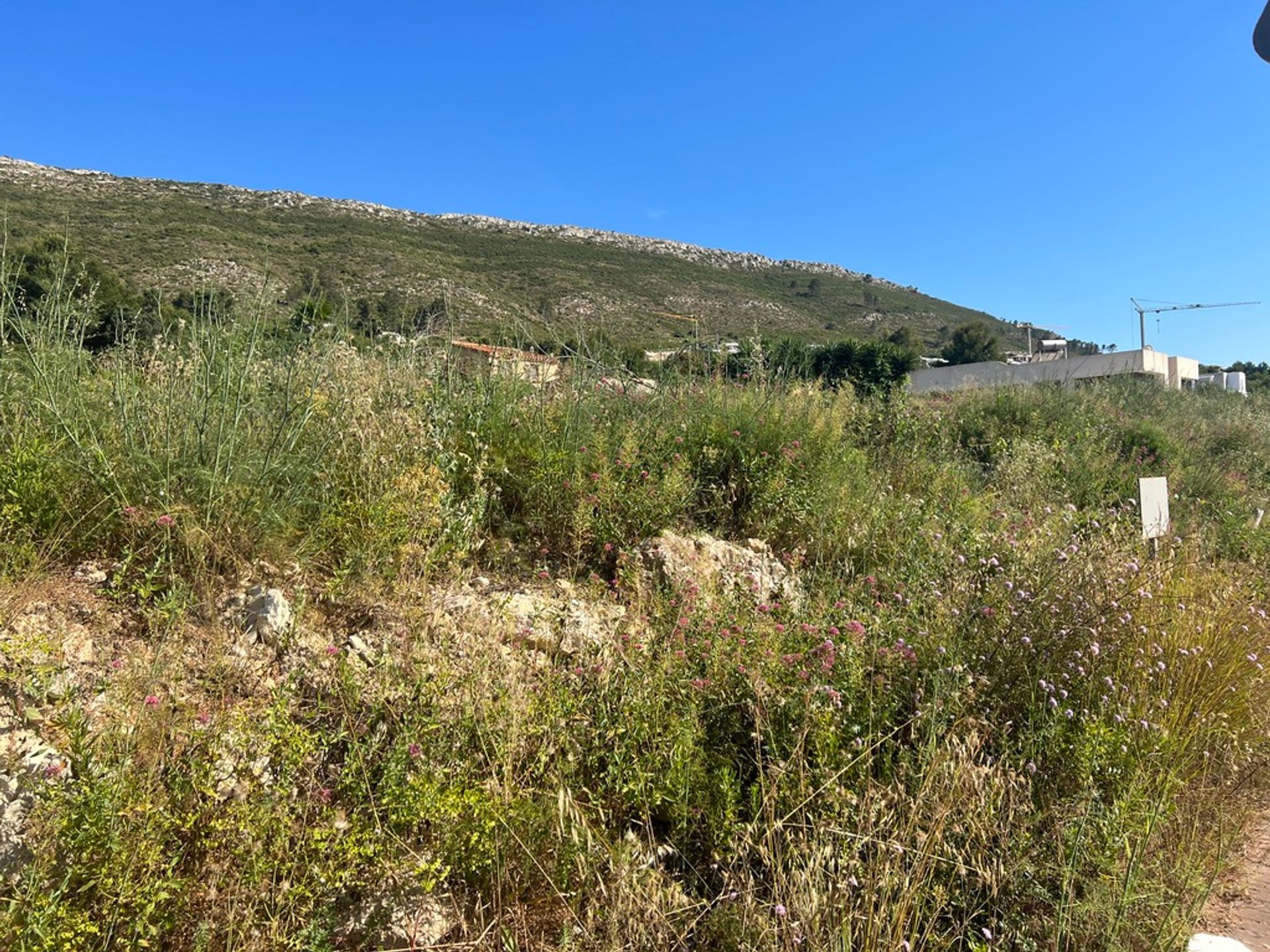 Land in Dénia, Comunidad Valenciana 11501226