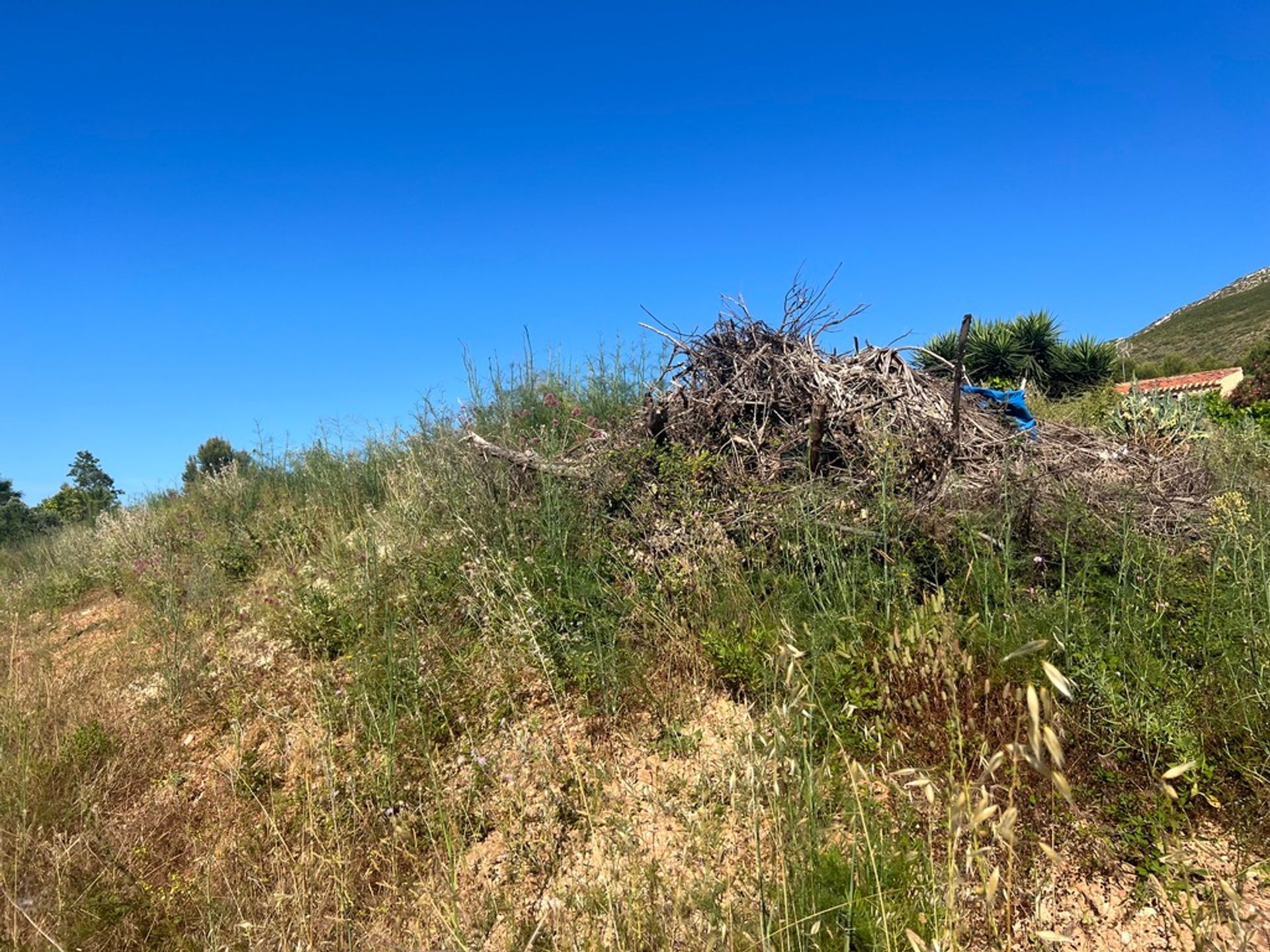 Tanah di Dénia, Comunidad Valenciana 11501226