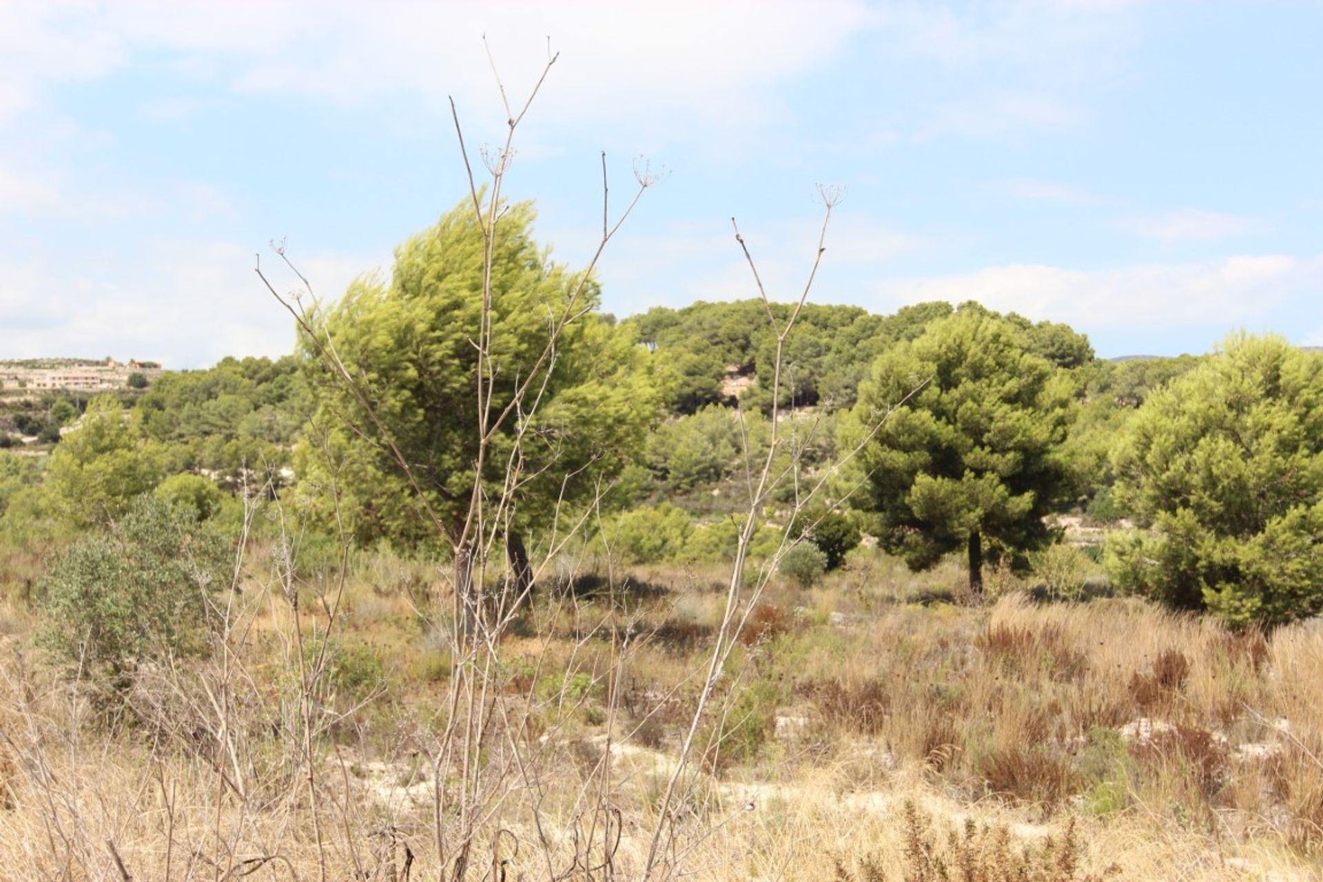 Land in Moraira, Comunidad Valenciana 11501346