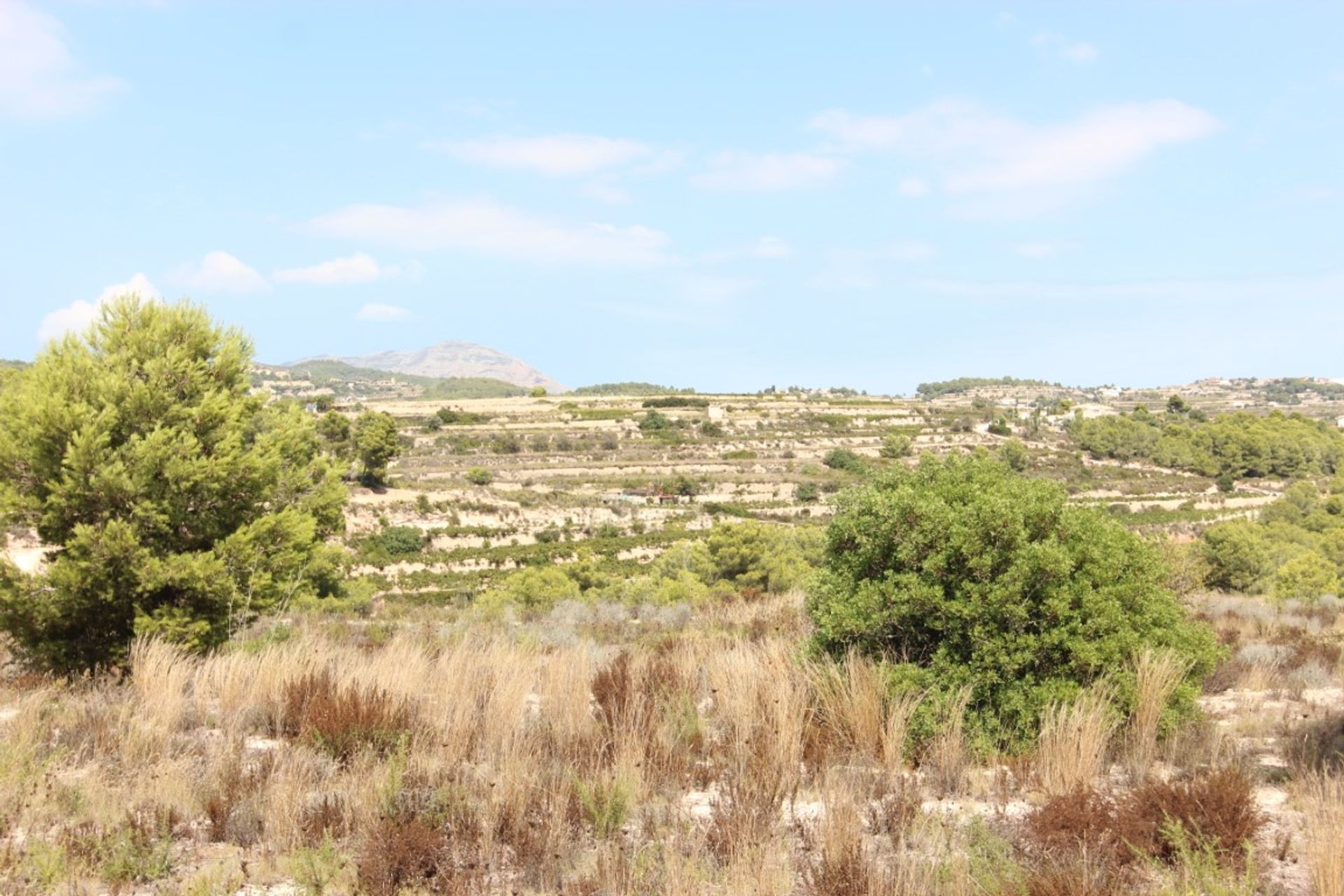 Land in Moraira, Comunidad Valenciana 11501346