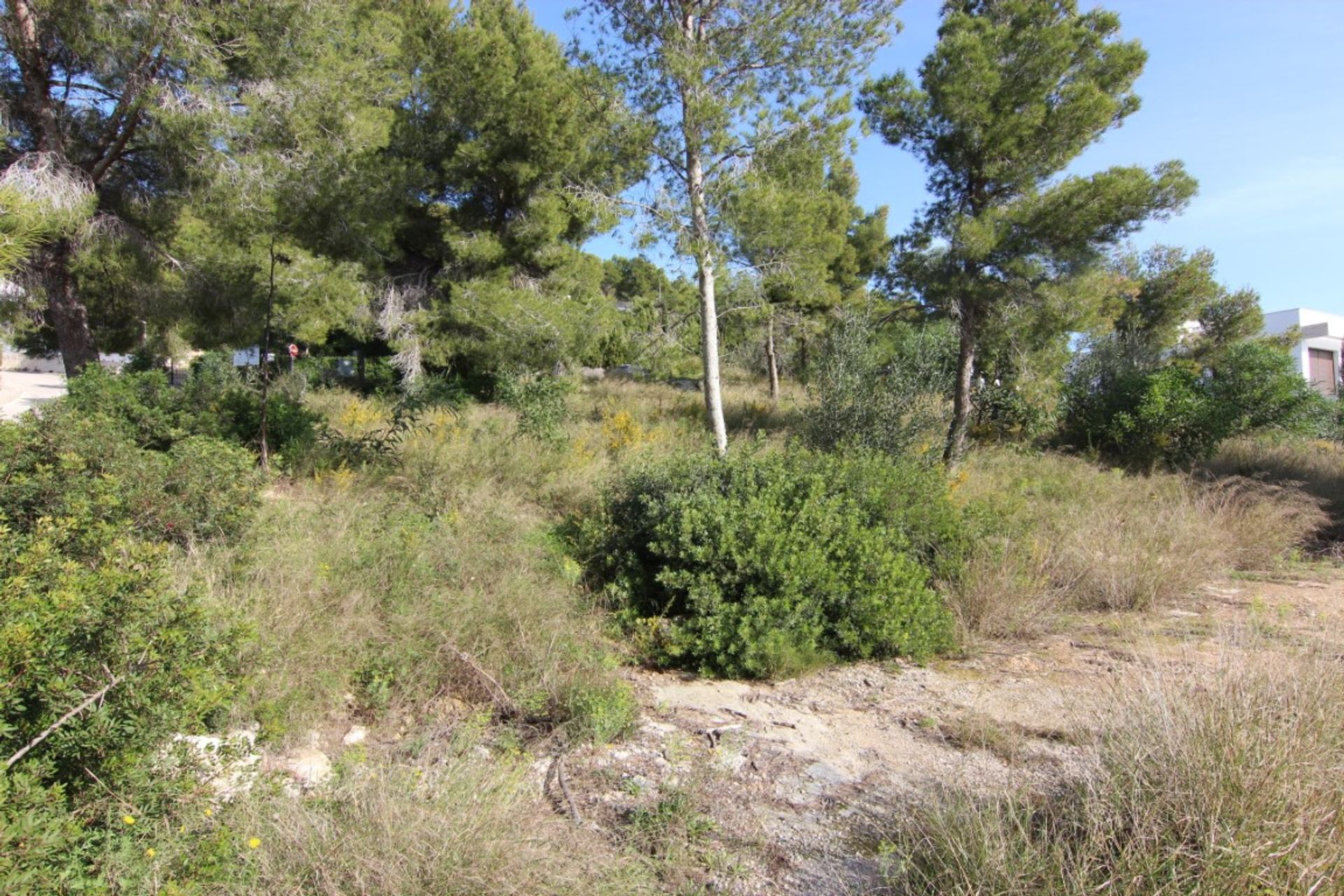 Tierra en Dénia, Comunidad Valenciana 11501353