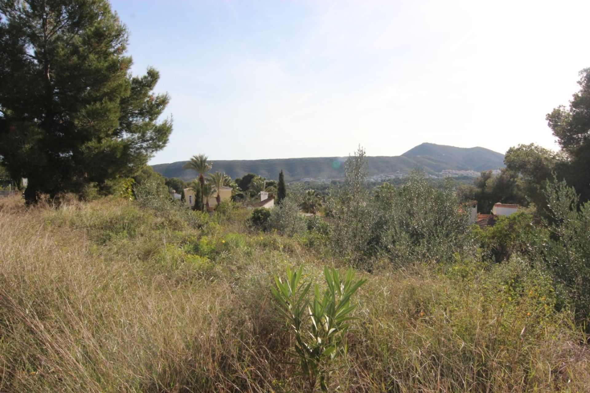 Tierra en Dénia, Comunidad Valenciana 11501353