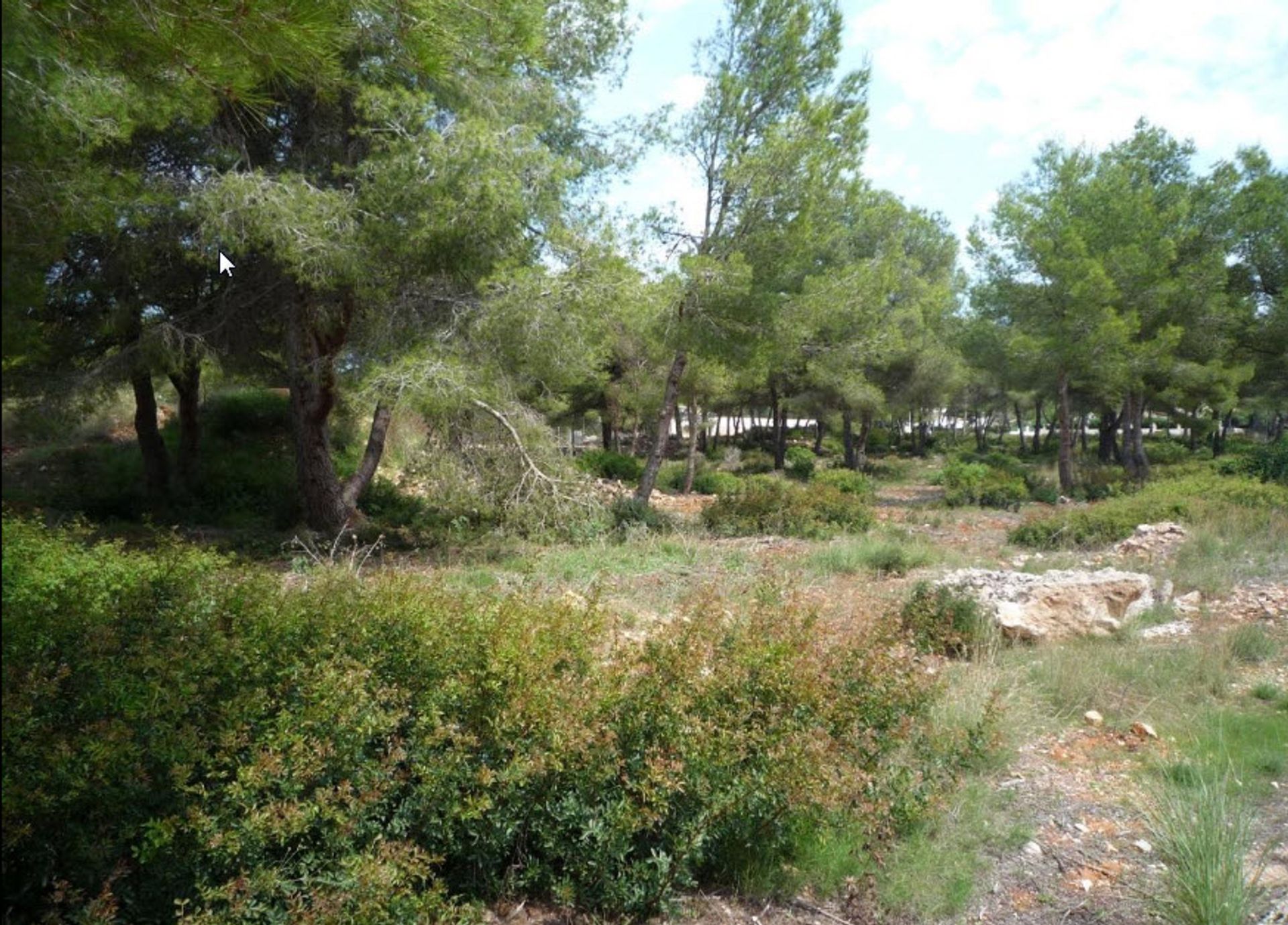 Land in Dénia, Comunidad Valenciana 11501385