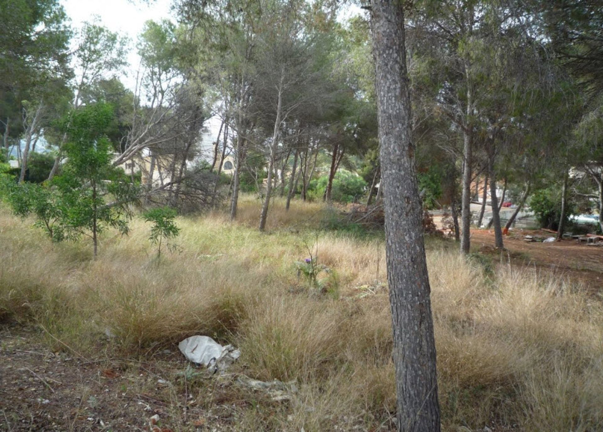 Land in Moraira, Comunidad Valenciana 11501387