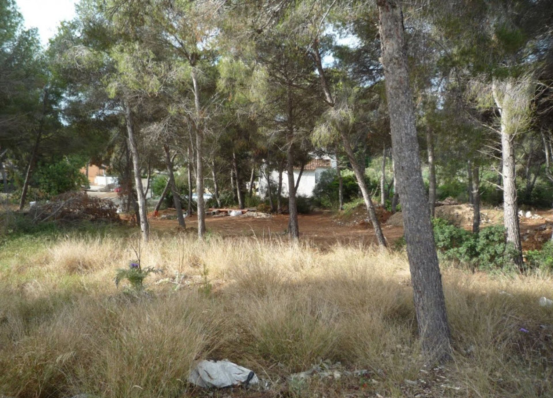 Land in Moraira, Comunidad Valenciana 11501387