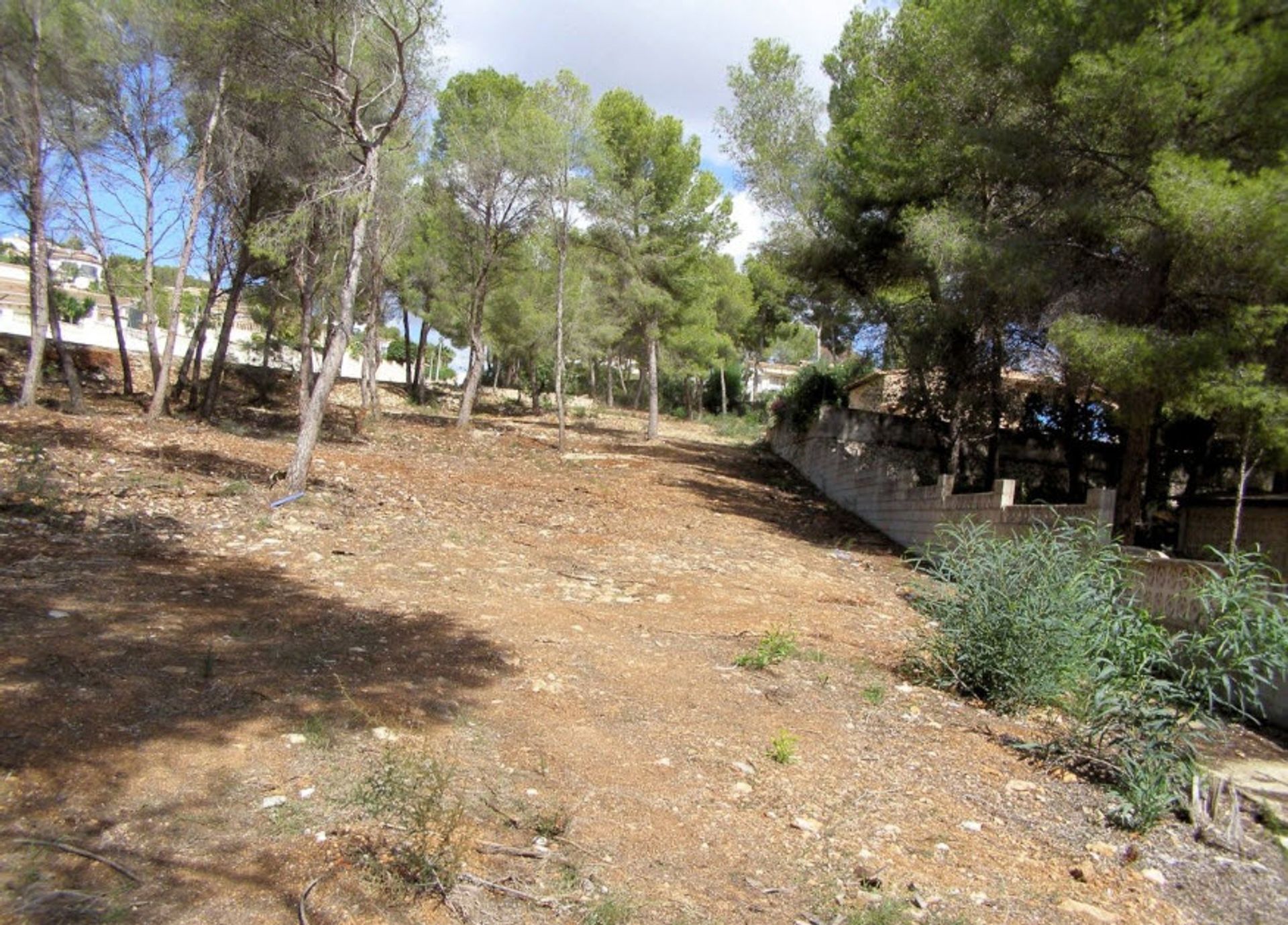 Land in Moraira, Comunidad Valenciana 11501387