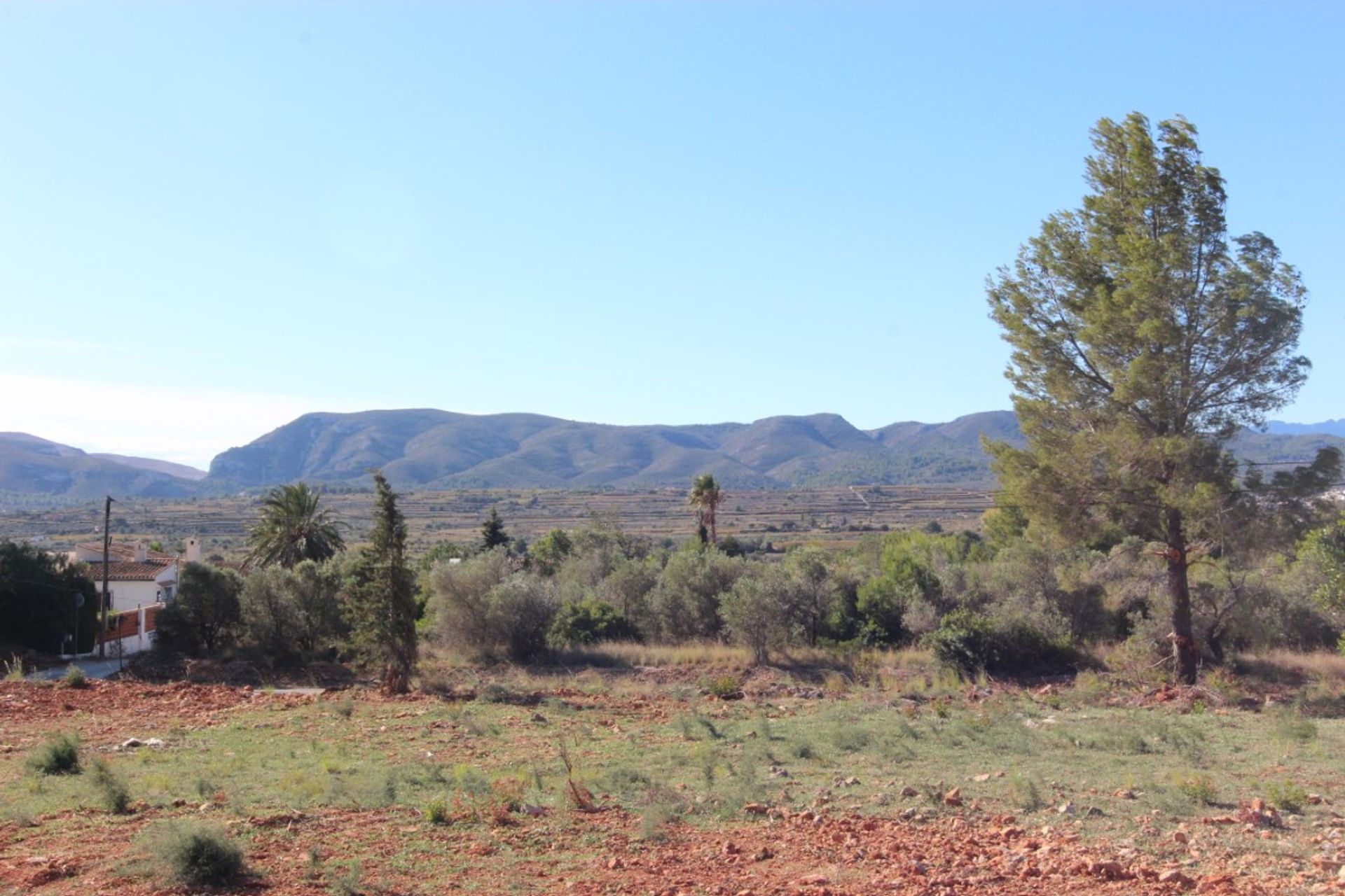 Land im Dénia, Valencia 11501399