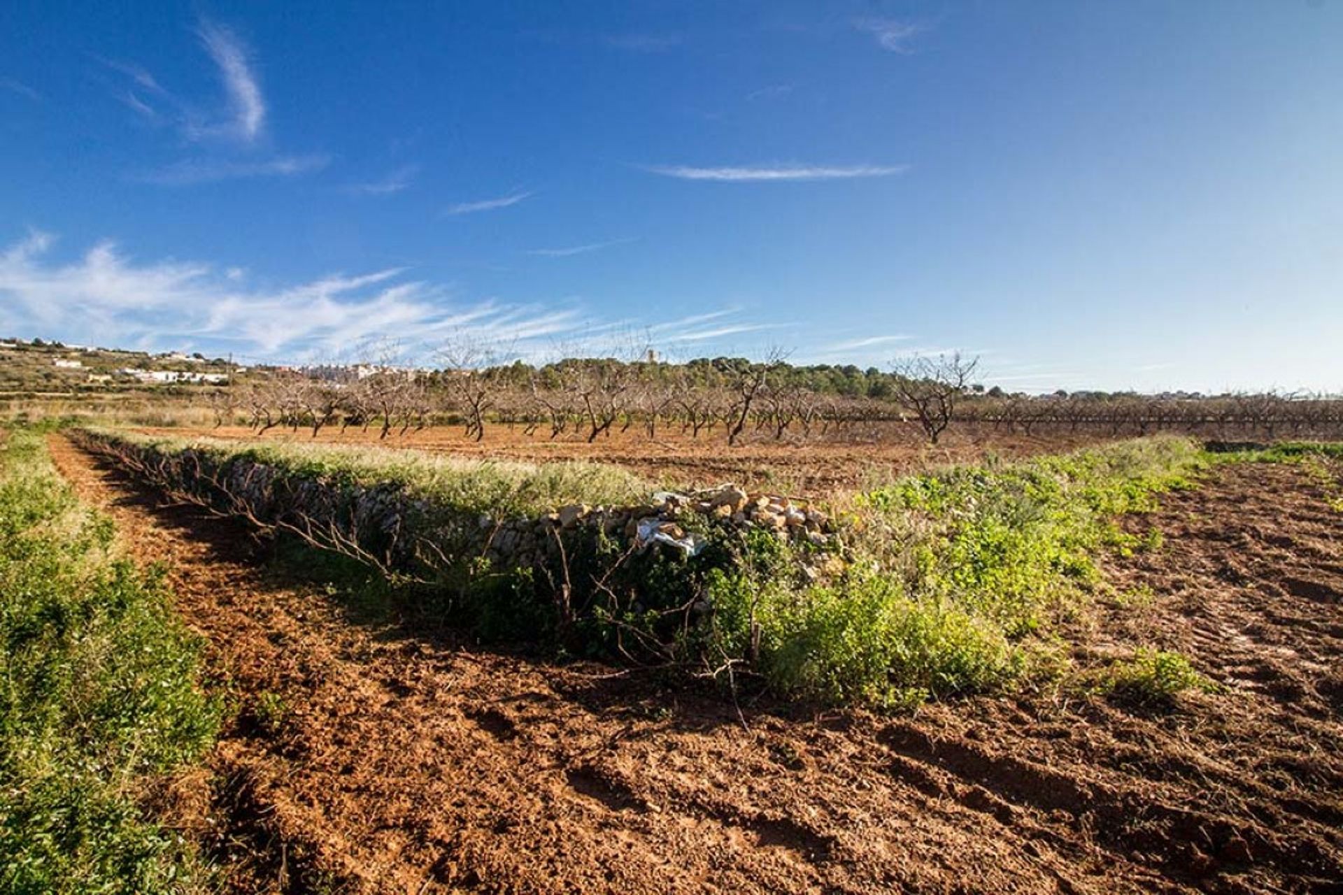 Land in Teulada, Valencia 11501456