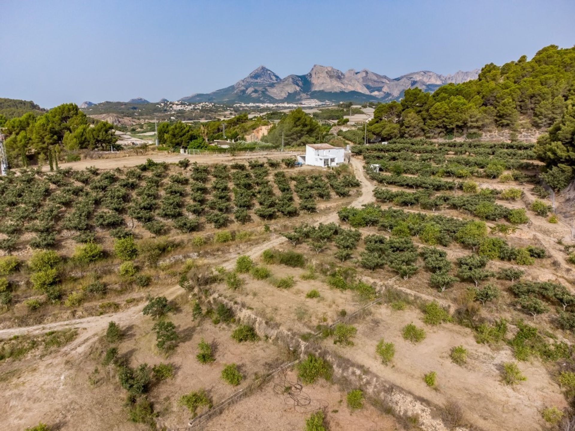 Tierra en Altea, Comunidad Valenciana 11501515