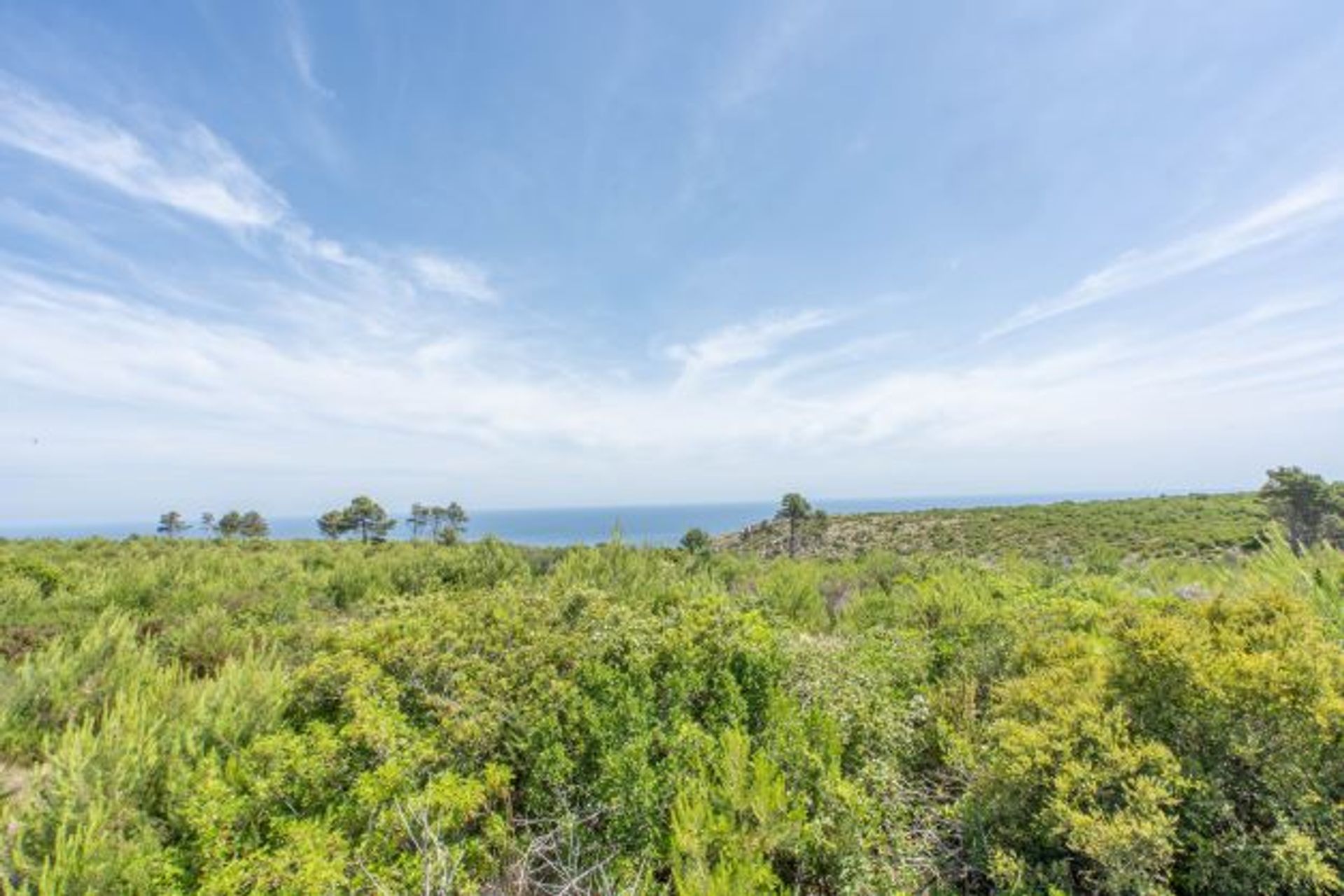 Terre dans Dénia, Comunidad Valenciana 11501626