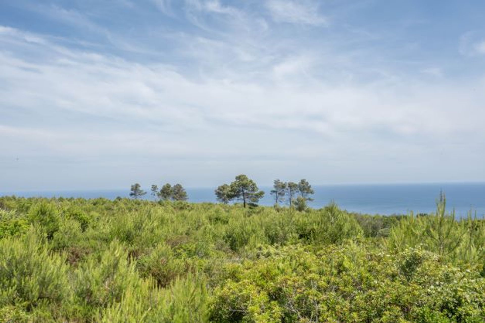 Terre dans Dénia, Comunidad Valenciana 11501626