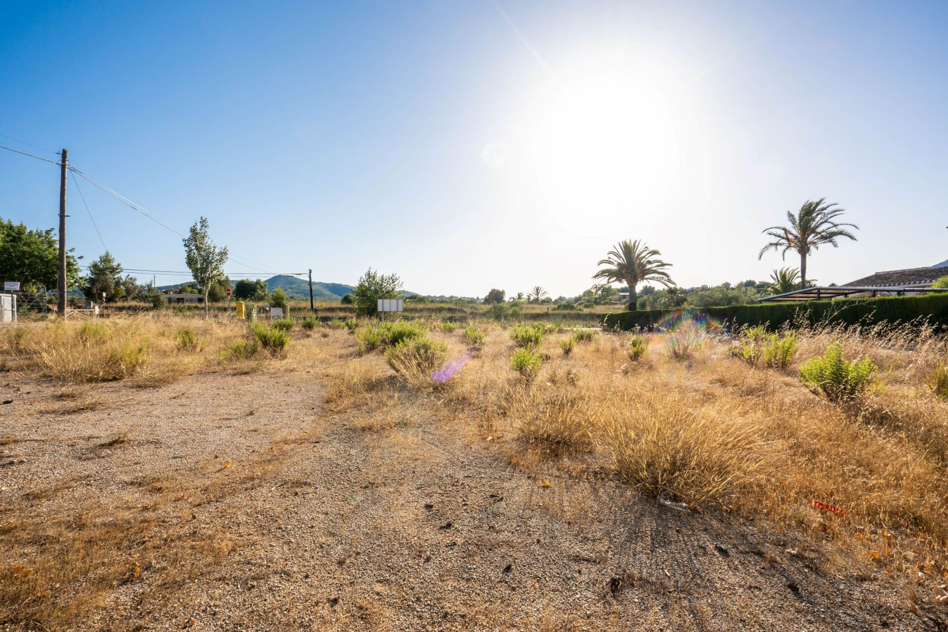 Land im Dénia, Valencia 11501646