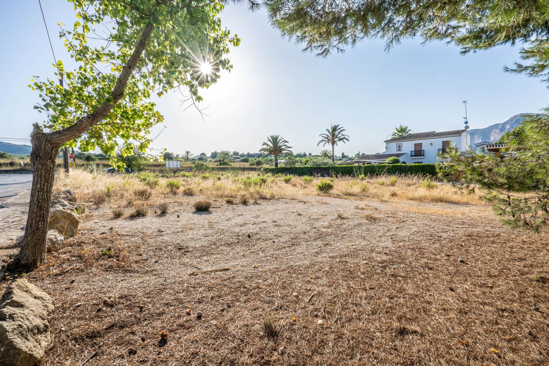 Land in Denia, Valencia 11501646