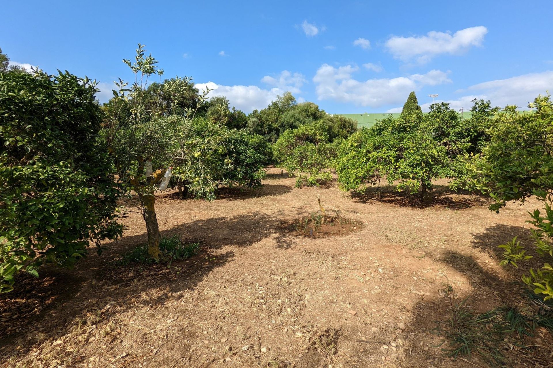 Tierra en Dénia, Comunidad Valenciana 11501654