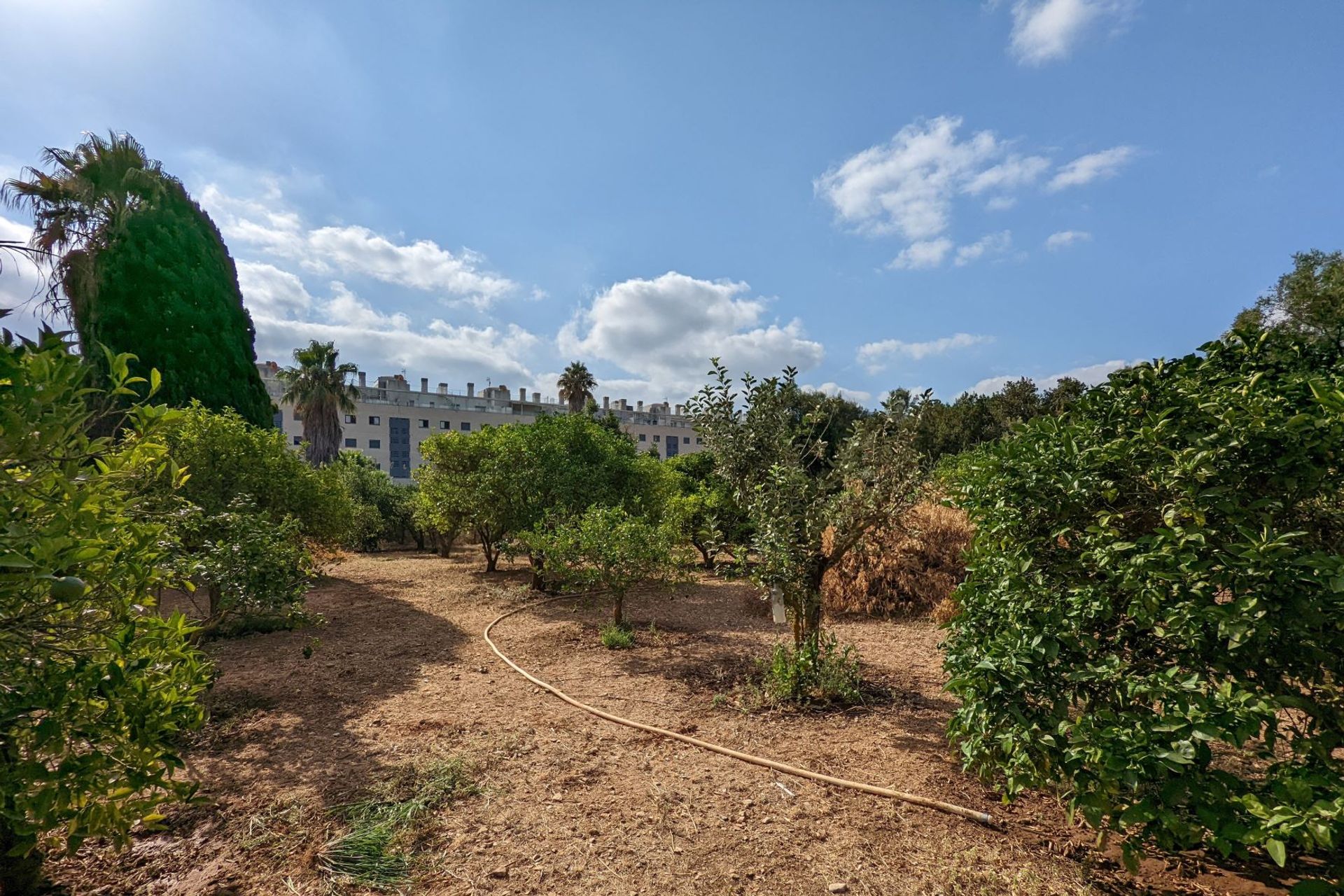 Tierra en Dénia, Comunidad Valenciana 11501654