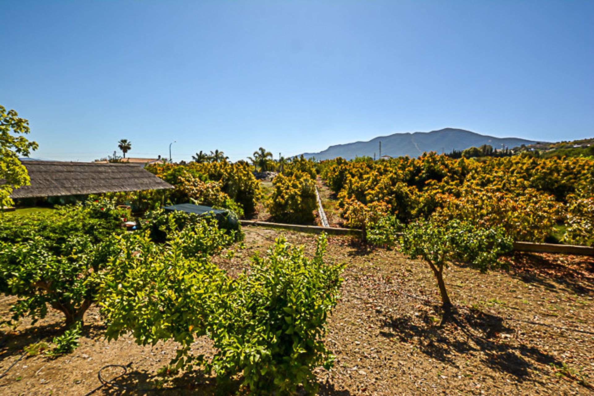 Casa nel Coín, Andalusia 11501710