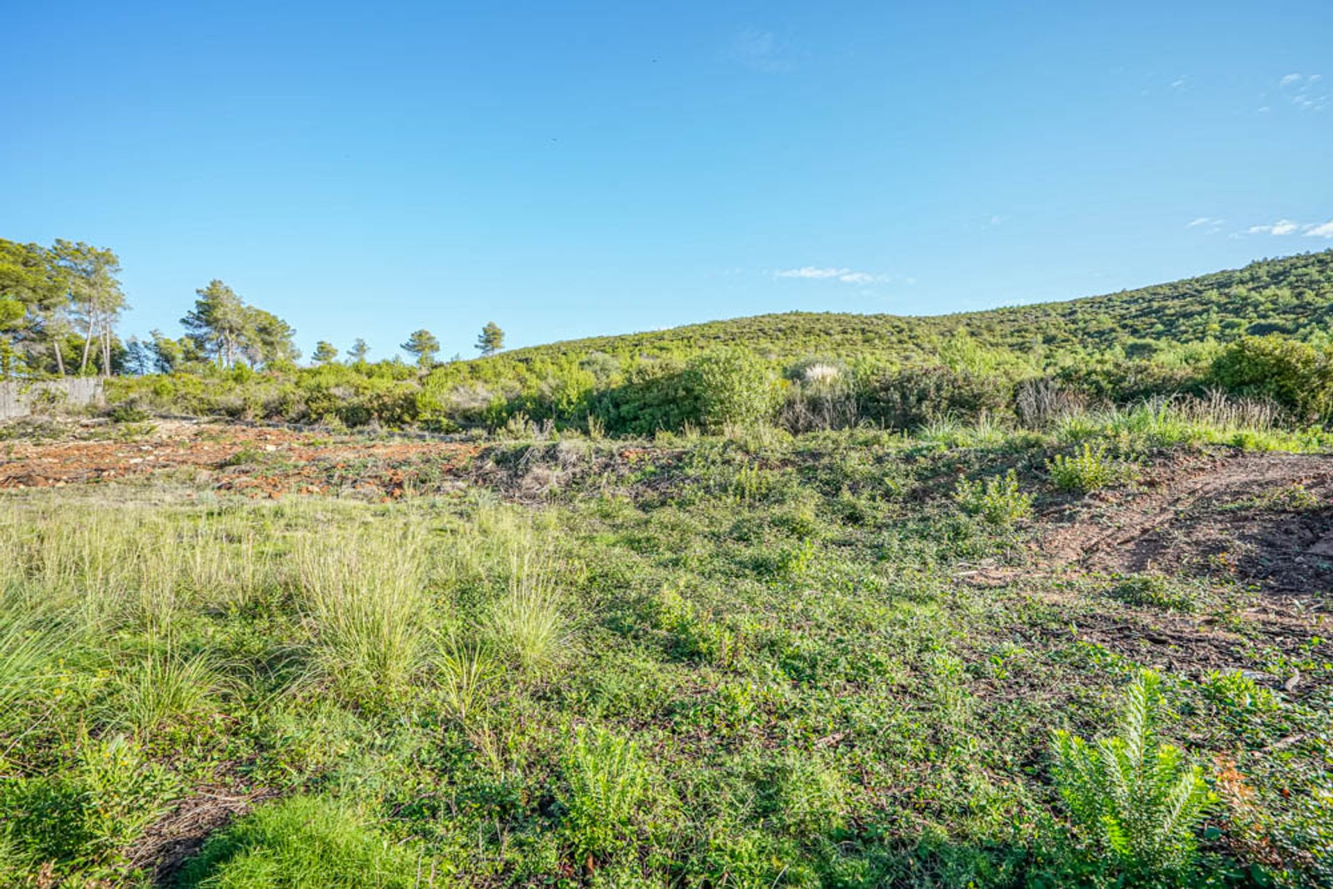 Land in Denia, Valencia 11501773