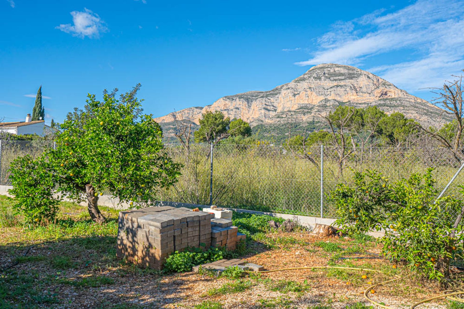 Land in Dénia, Comunidad Valenciana 11501774