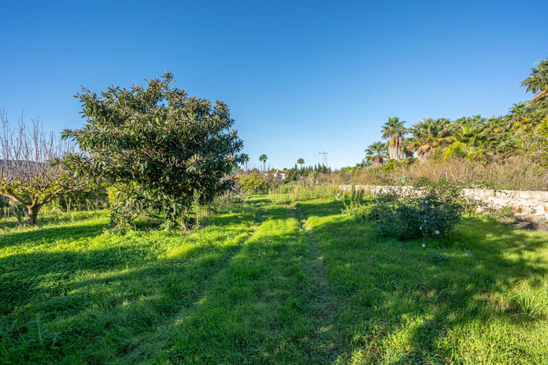 Tanah dalam Dénia, Comunidad Valenciana 11501786