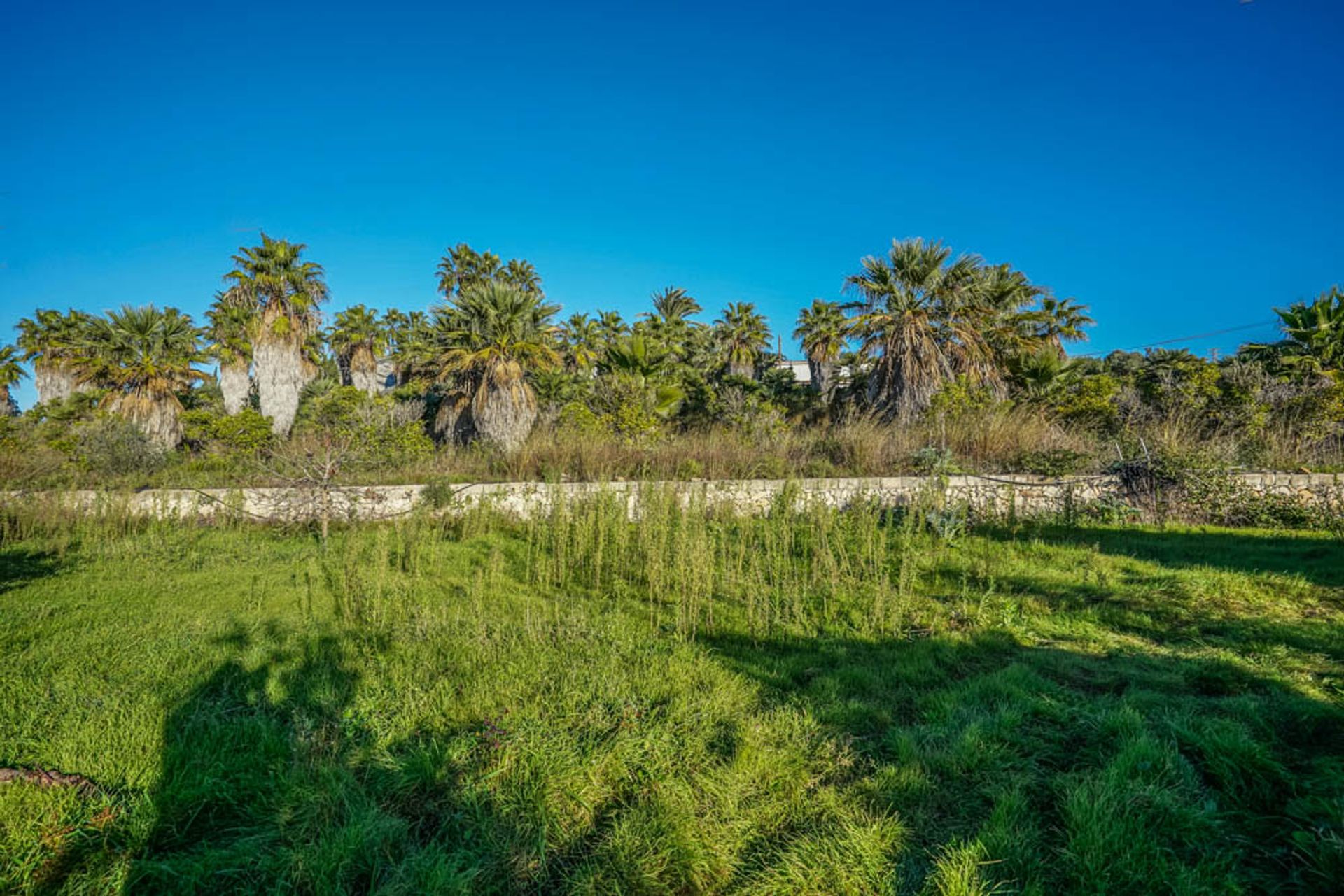 Land i Dénia, Comunidad Valenciana 11501786