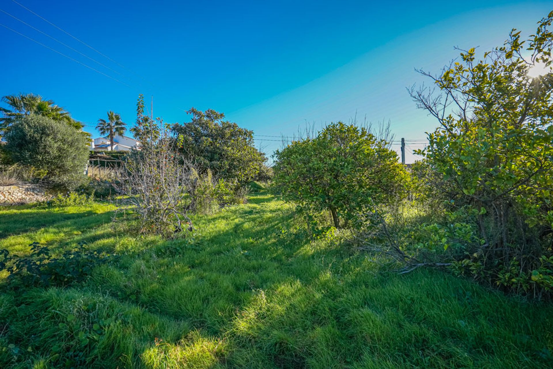 Land im Dénia, Comunidad Valenciana 11501786