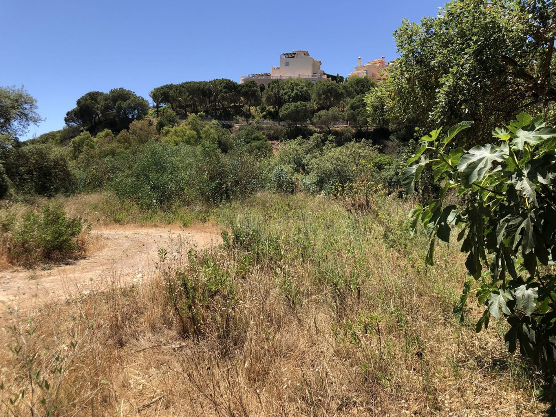 Tanah dalam Ojen, Andalusia 11501899