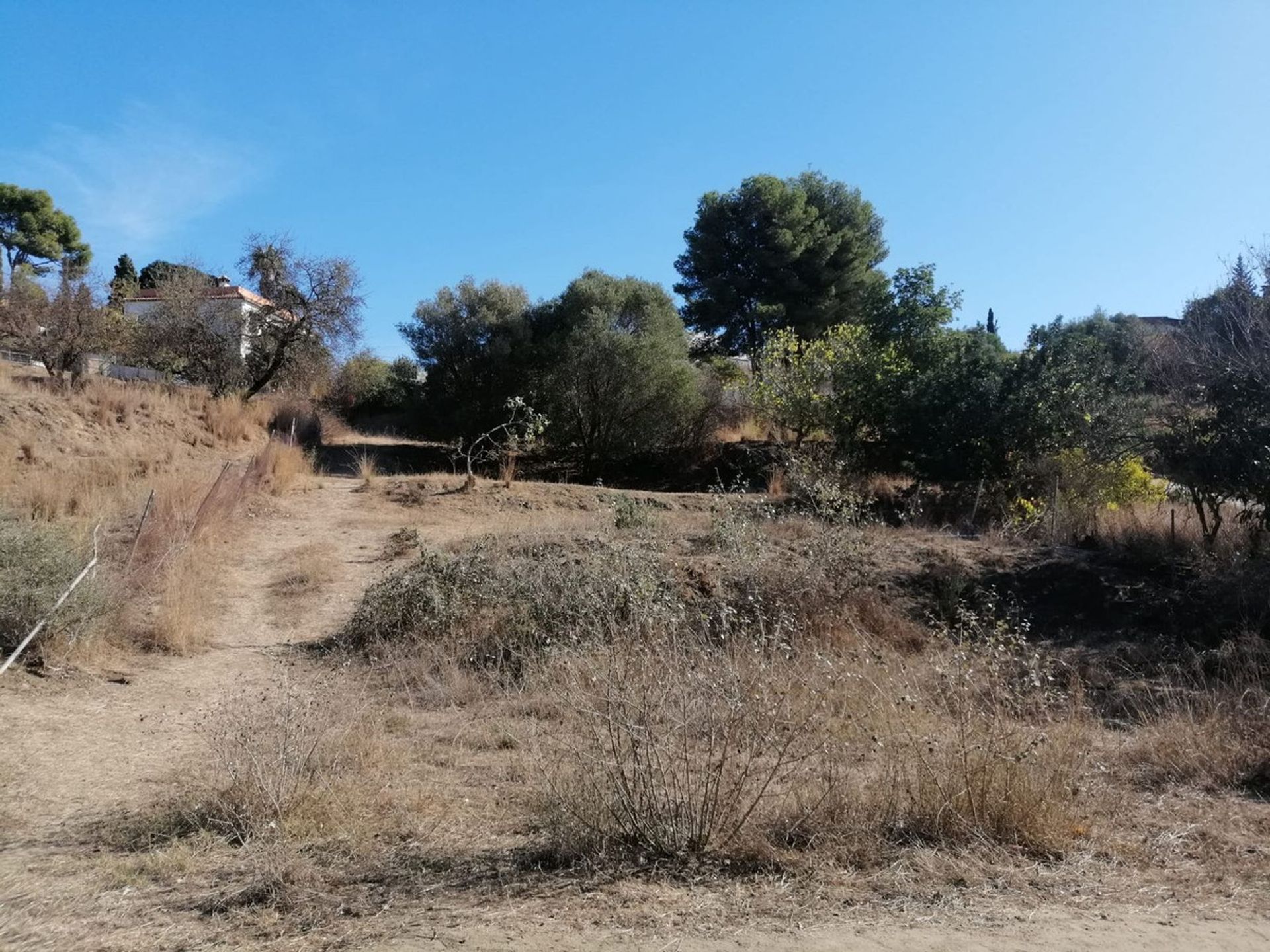 Land in Fuengirola, Andalusia 11501931