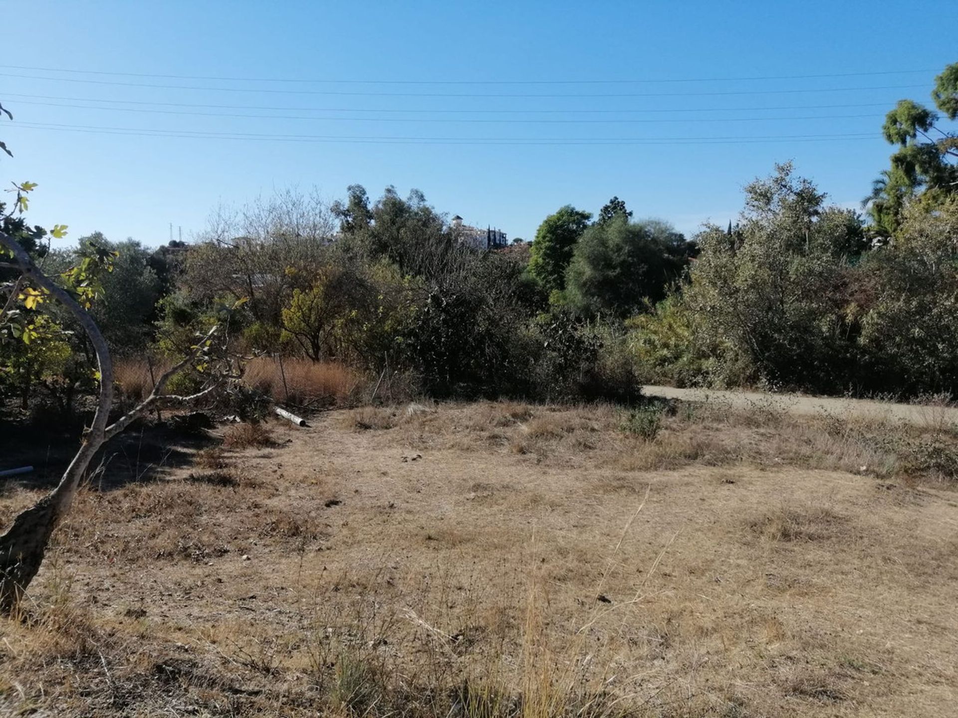 Land in Fuengirola, Andalusia 11501931