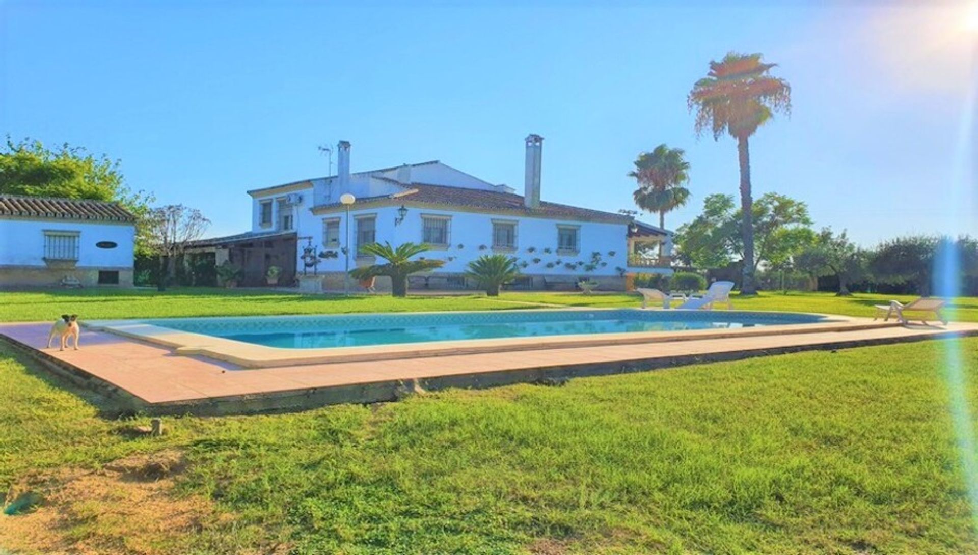 casa en Aznalcázar, Andalusia 11501962