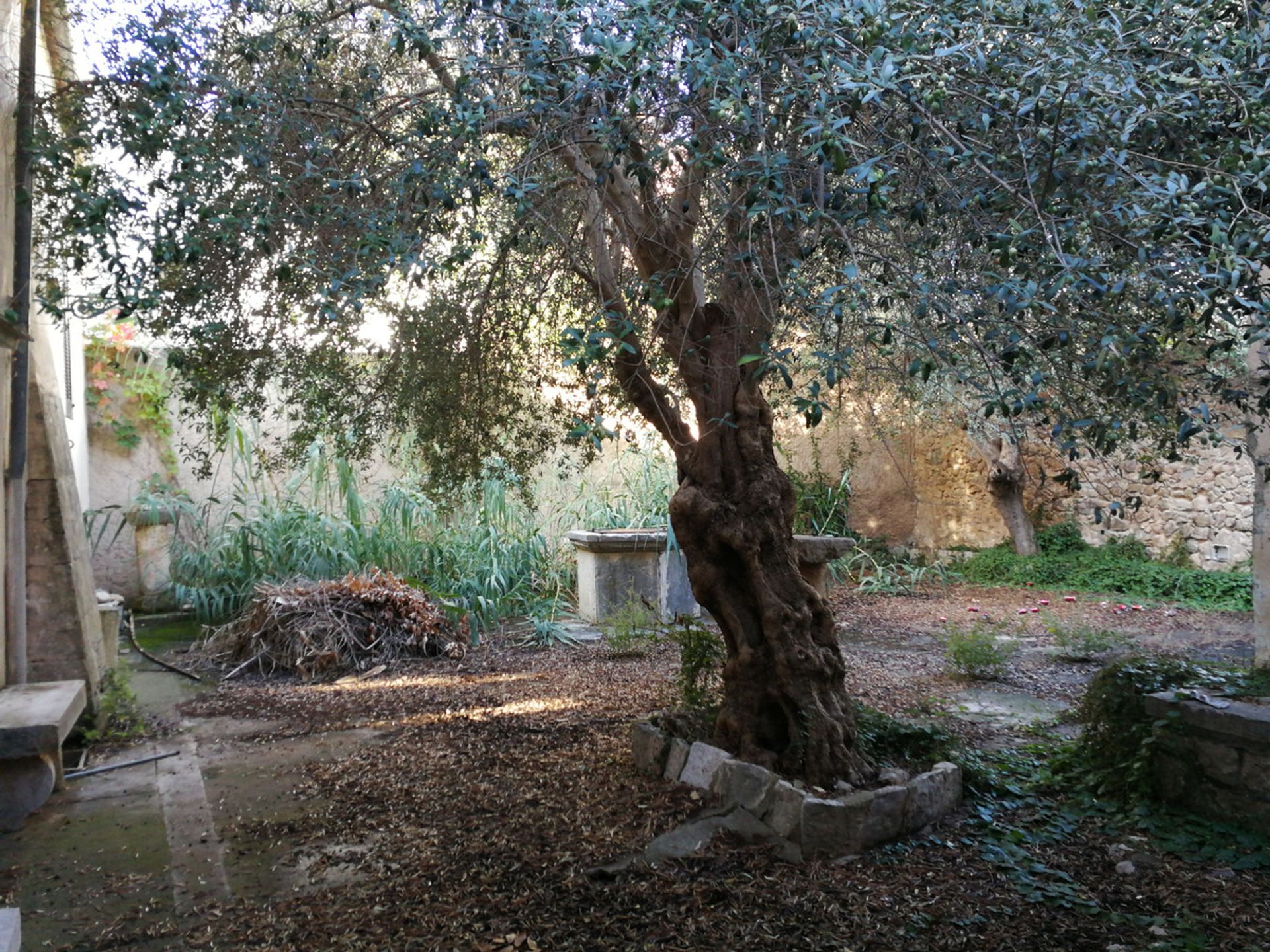 casa en Inca, Balearic Islands 11502181