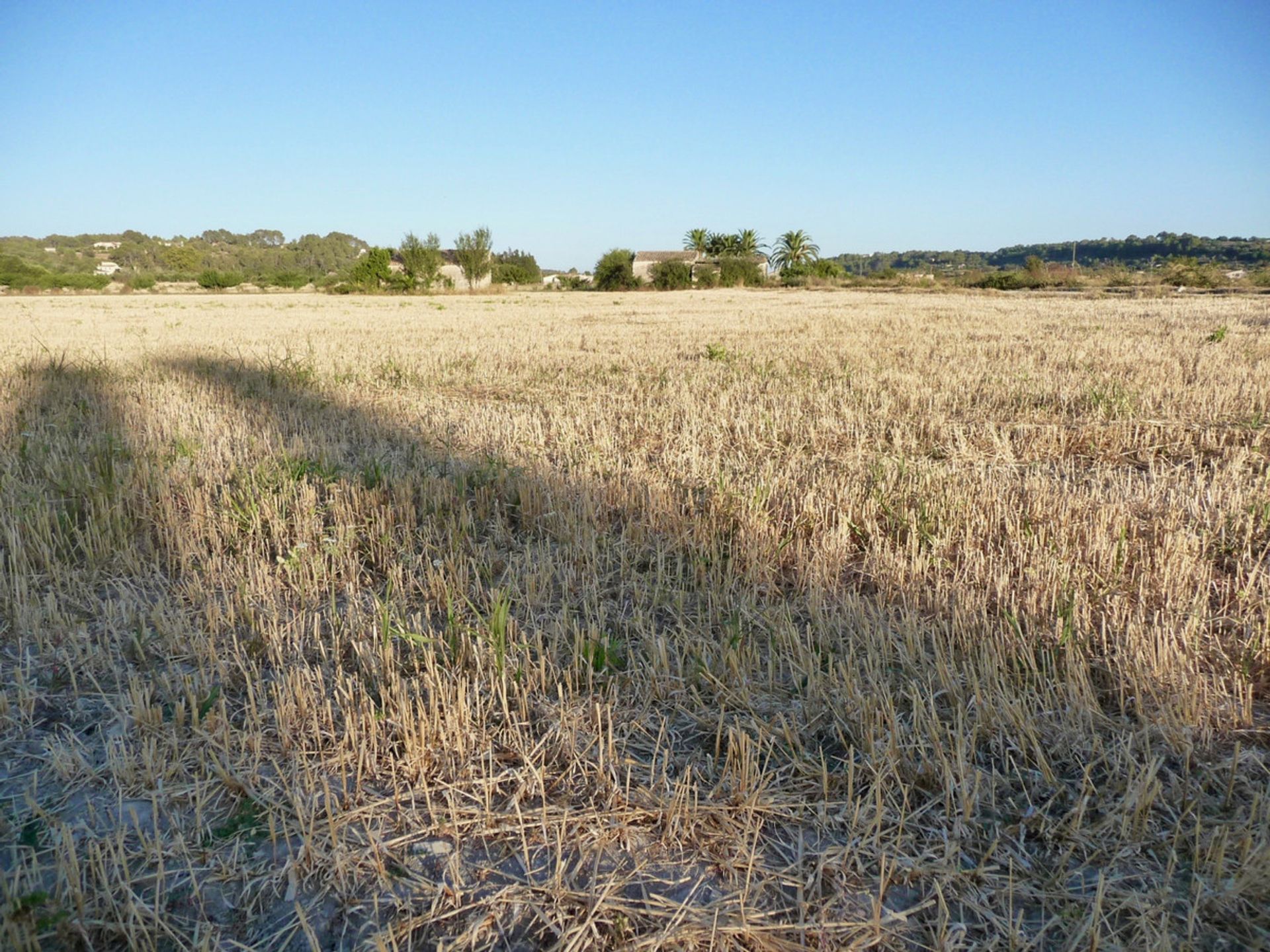 Land in Montuïri, Balearic Islands 11502182