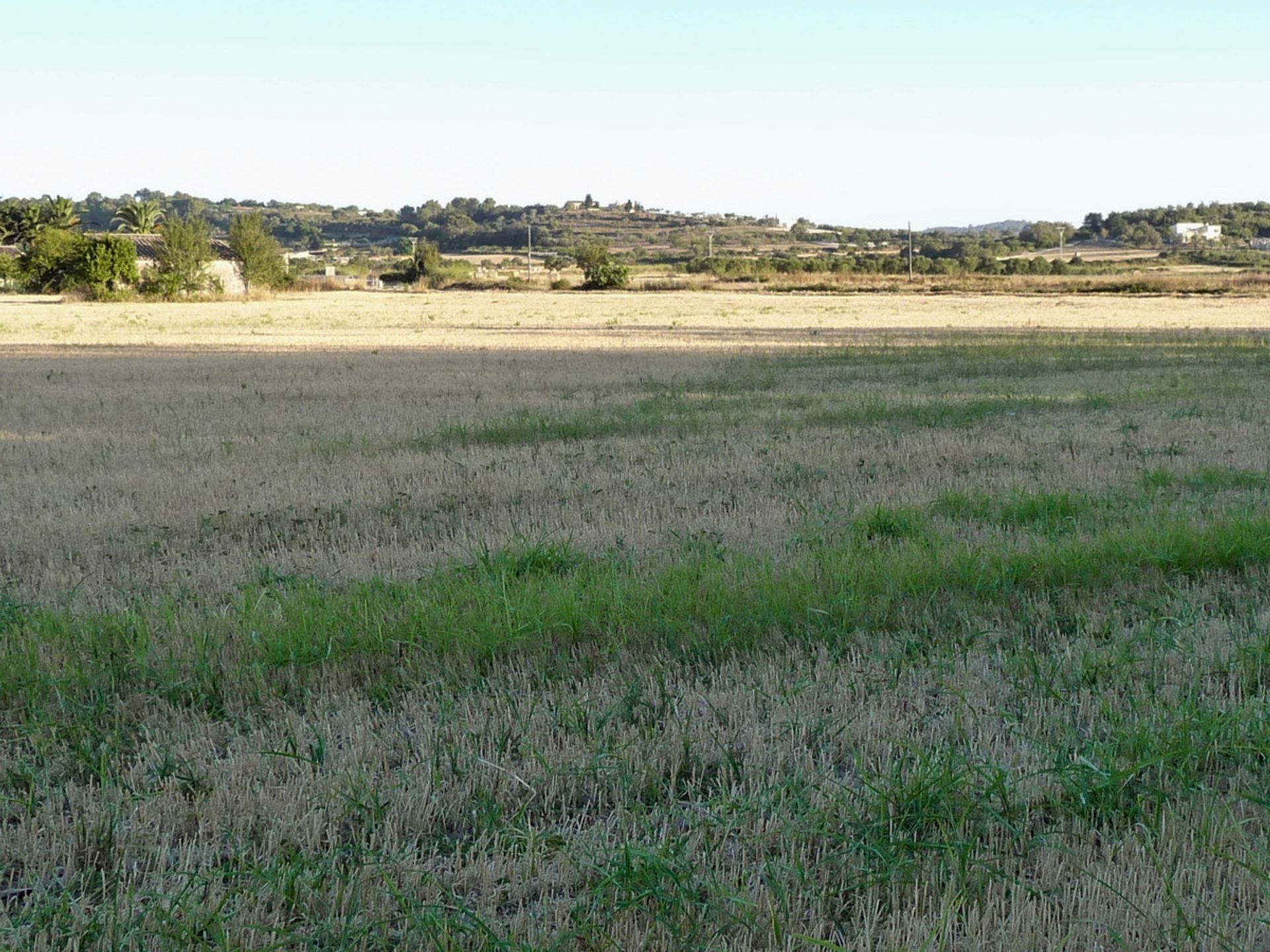 Land in Montuiri, Balearic Islands 11502182