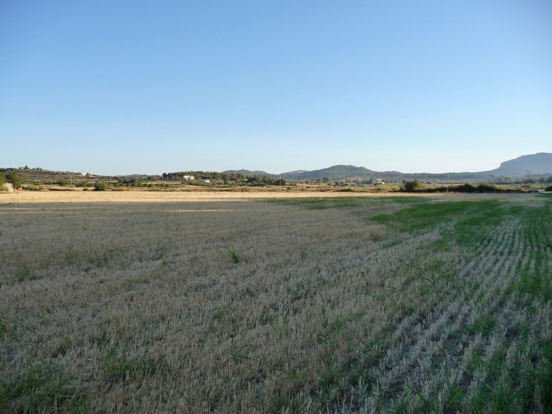 Land in Montuiri, Balearic Islands 11502182