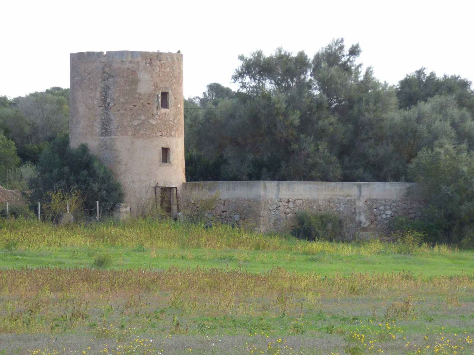 بيت في Palma, Balearic Islands 11502206