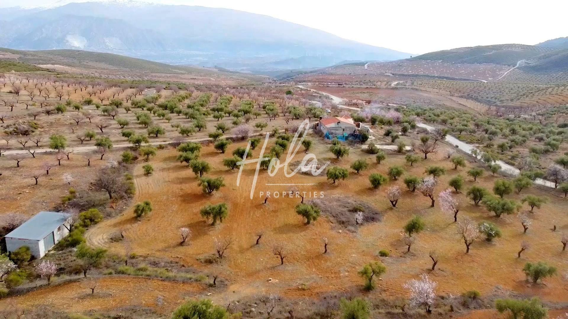 Industriell i Albuñuelas, Andalucía 11502258