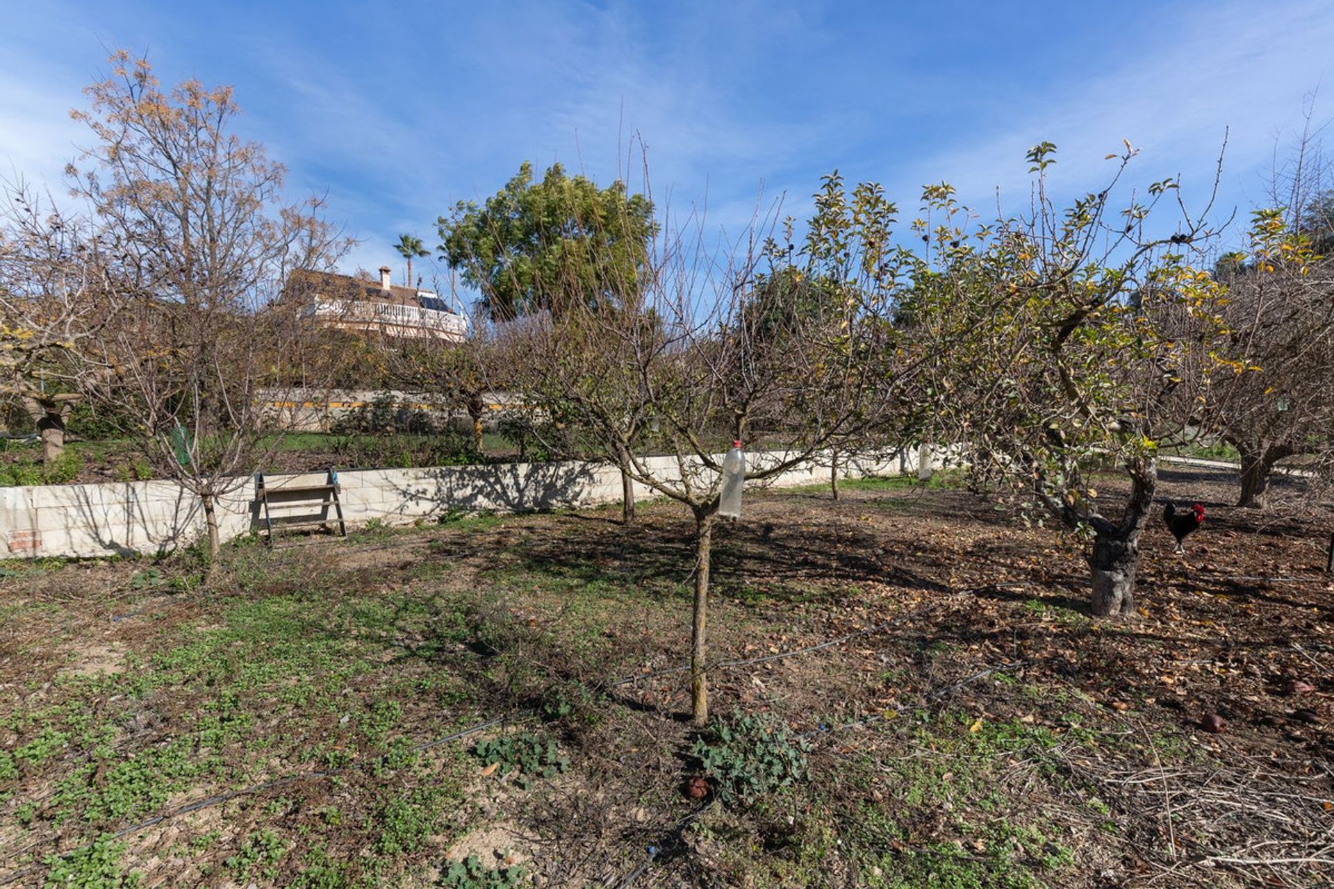 Rumah di Coín, Andalucía 11502399