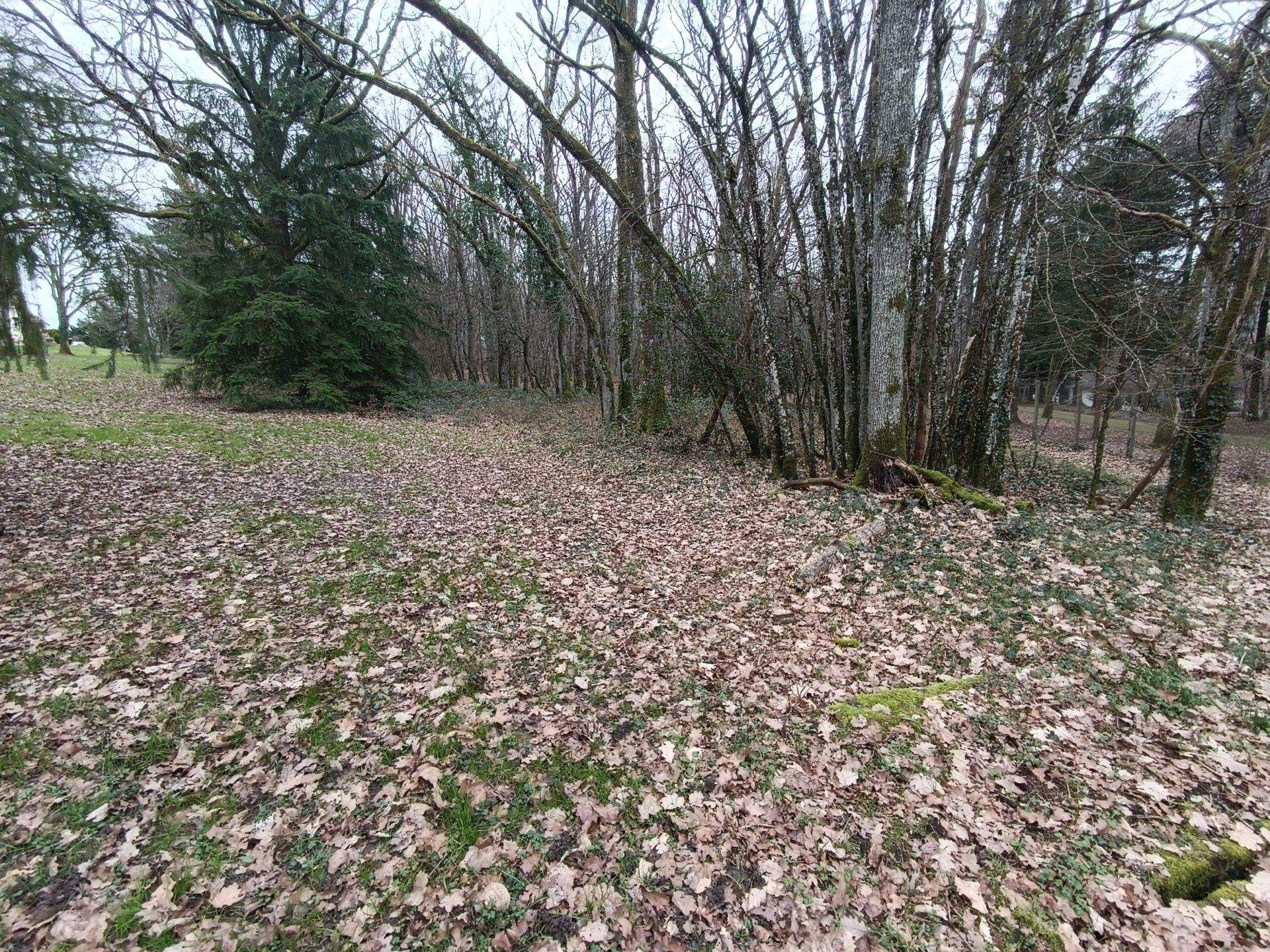 Maa sisään Village d’en Haut, Keskusta - Val de Loire 11502642