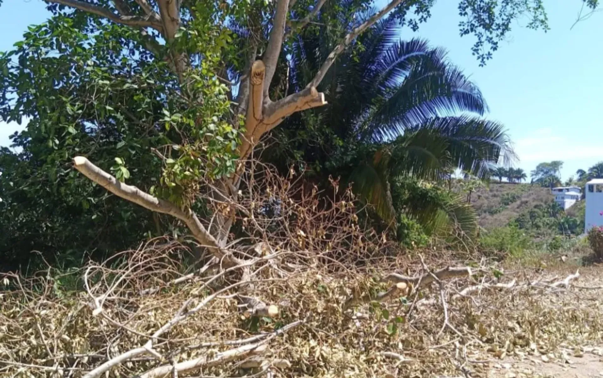 Land im La Penita de Jaltomba, Nayarit 11503249