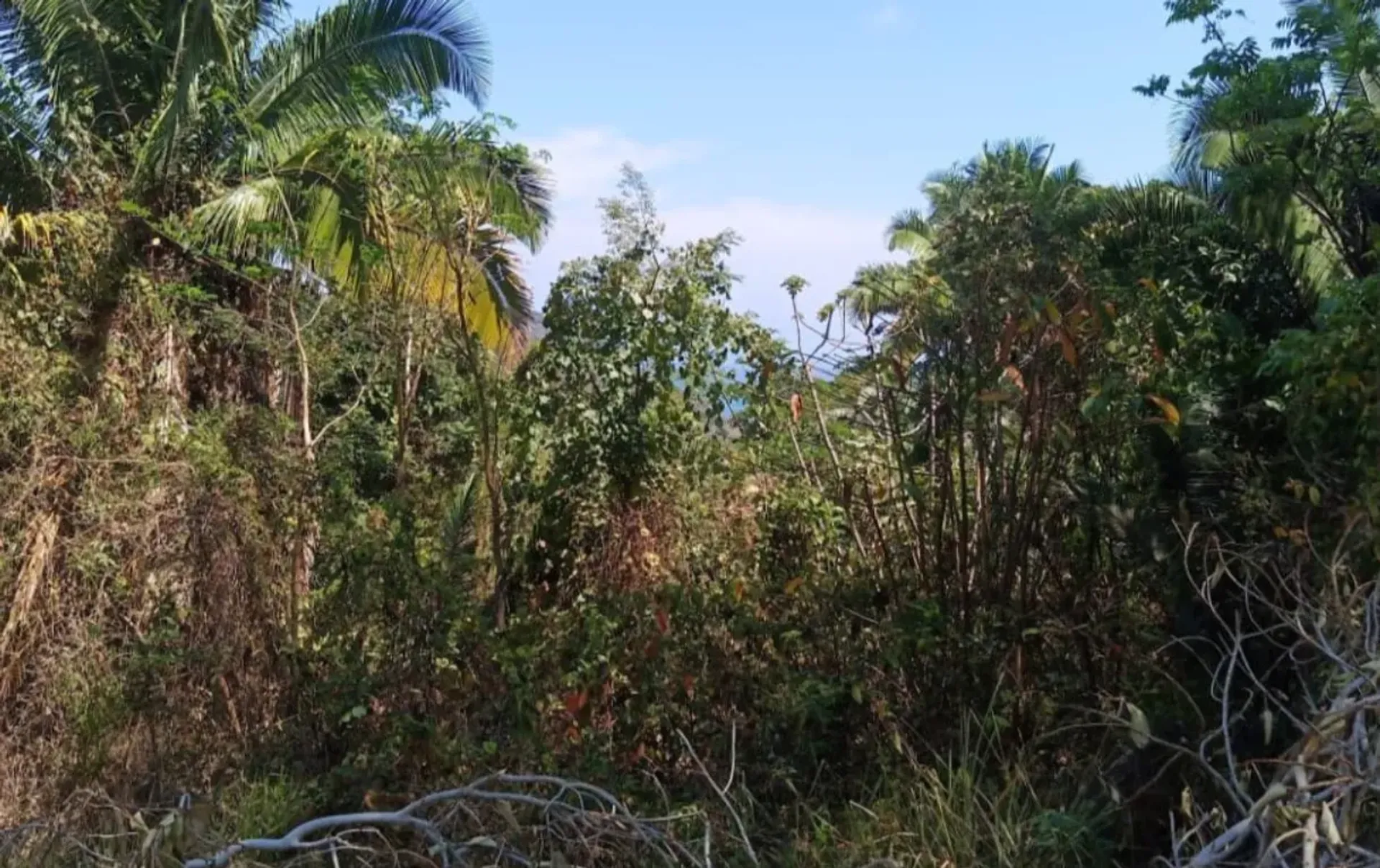 Land im La Penita de Jaltomba, Nayarit 11503249