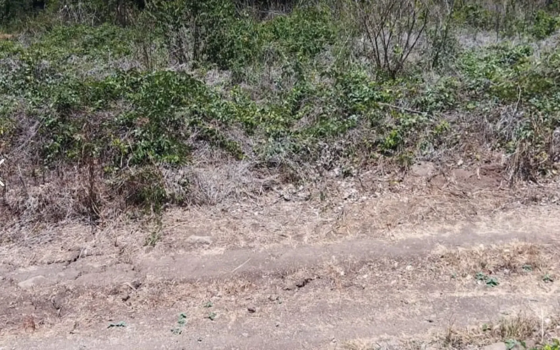 Terra no La Penita de Jaltomba, Nayarit 11503250