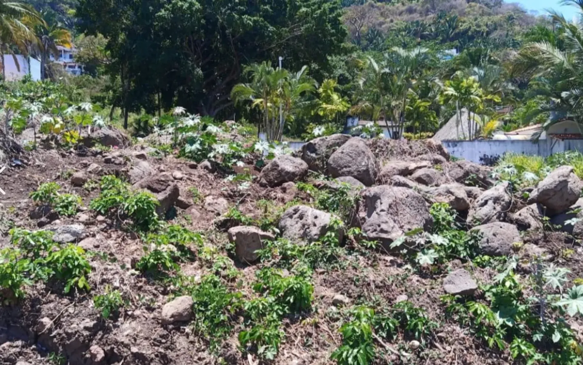 Jord i La Penita de Jaltomba, Nayarit 11503250