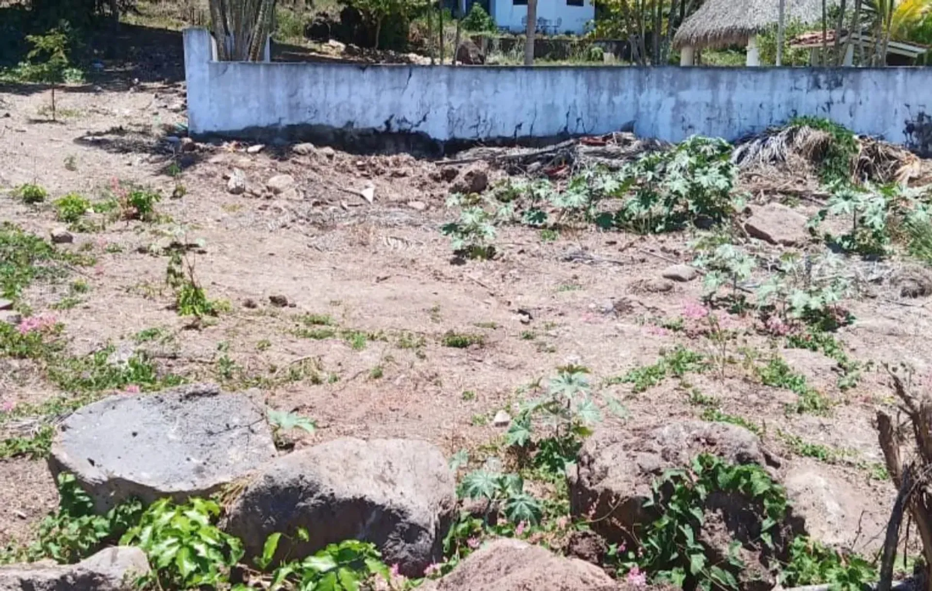 土地 在 La Penita de Jaltomba, Nayarit 11503250