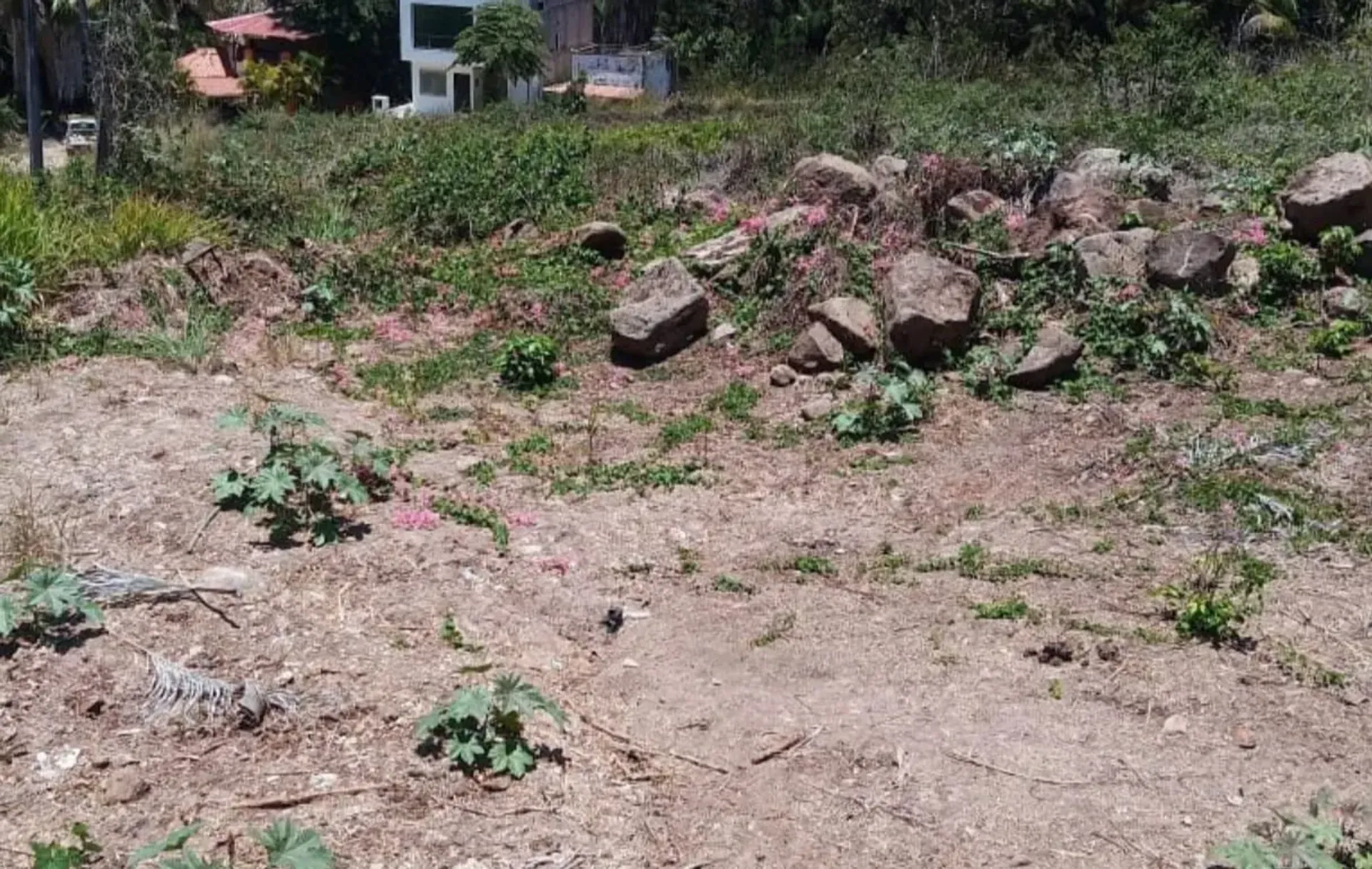 Tanah di La Penita de Jaltomba, Nayarit 11503250