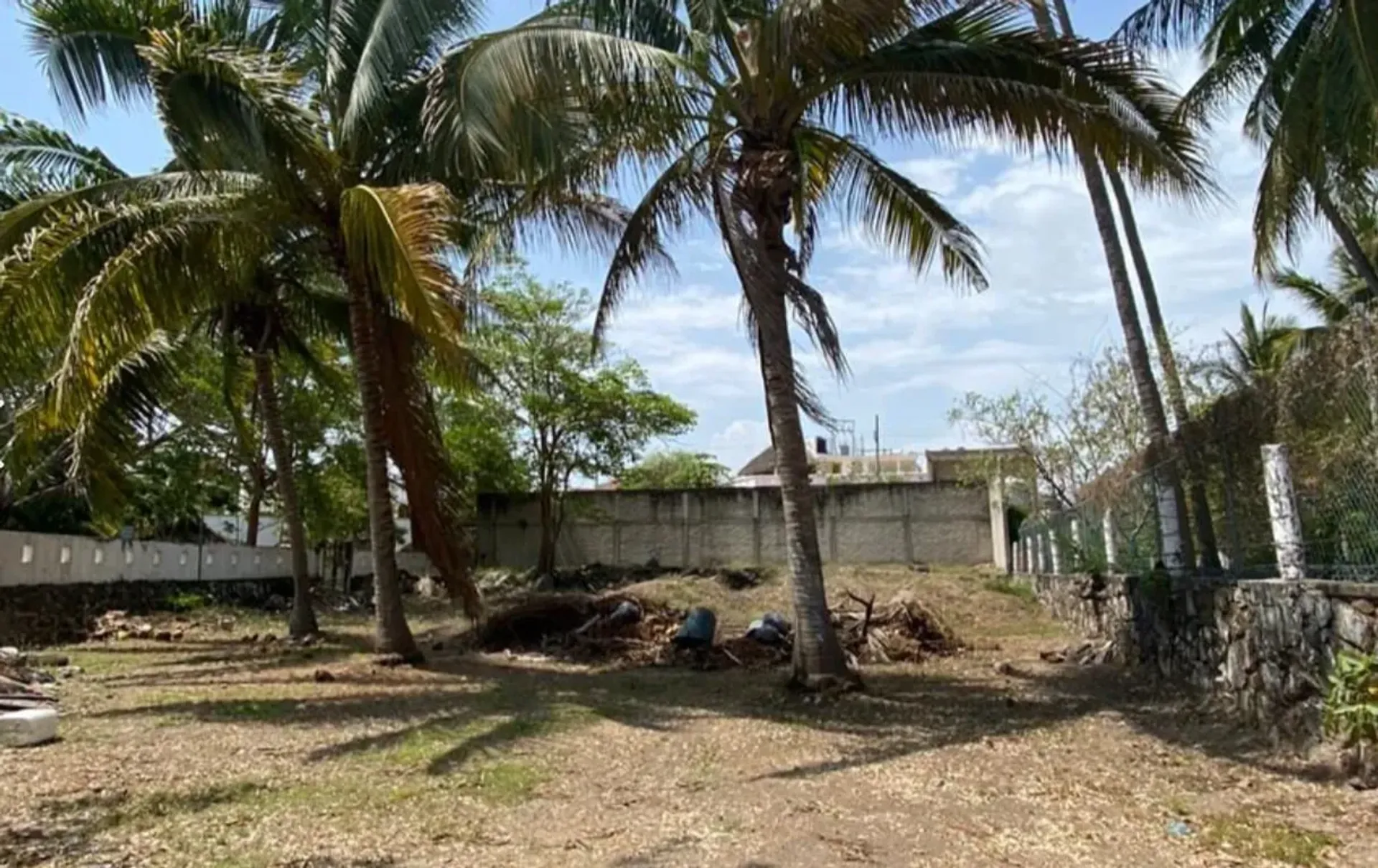 Outro no São Francisco, Nayarit 11503306