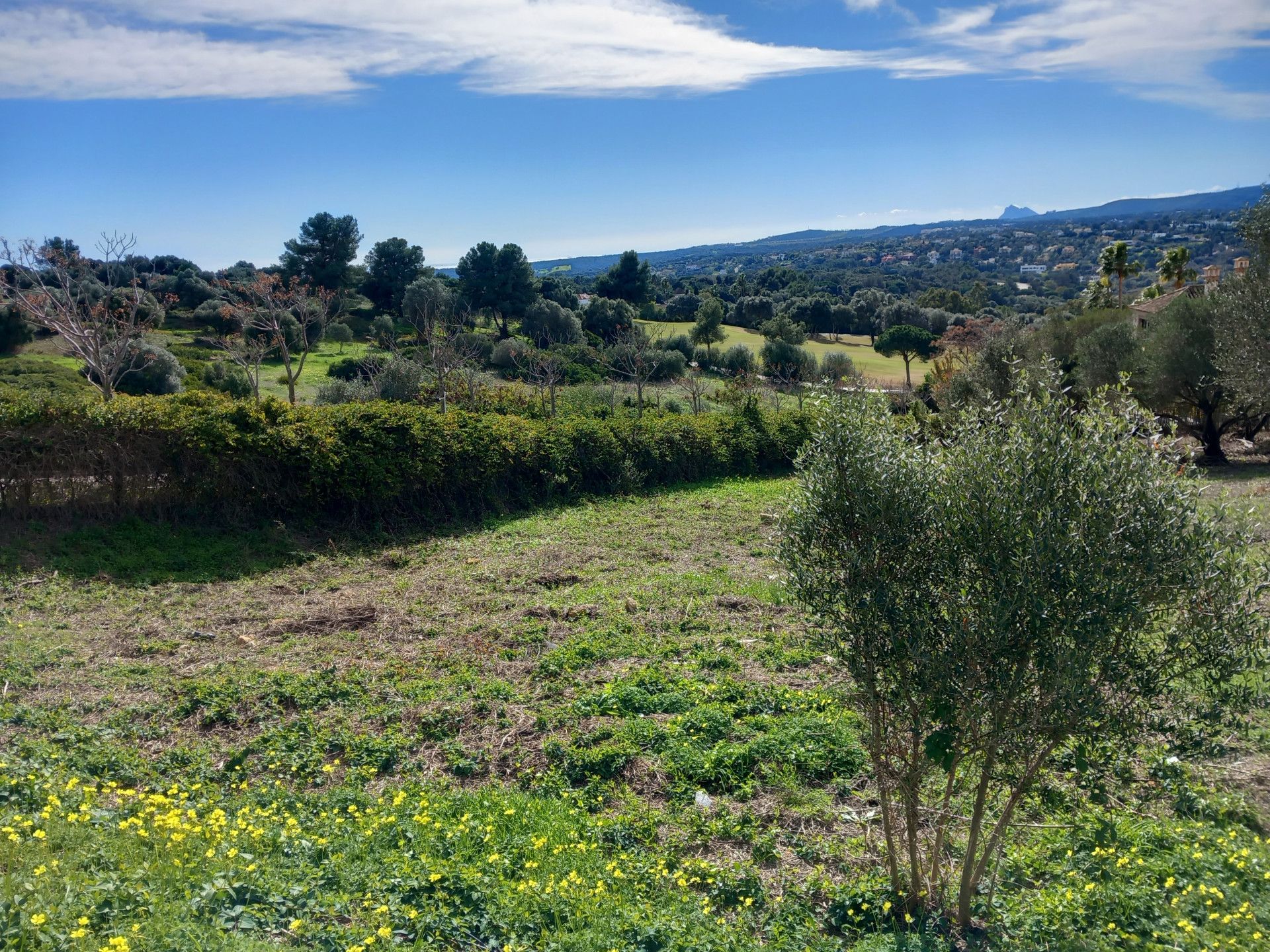 Maa sisään Guadiaro, Andalusia 11503854