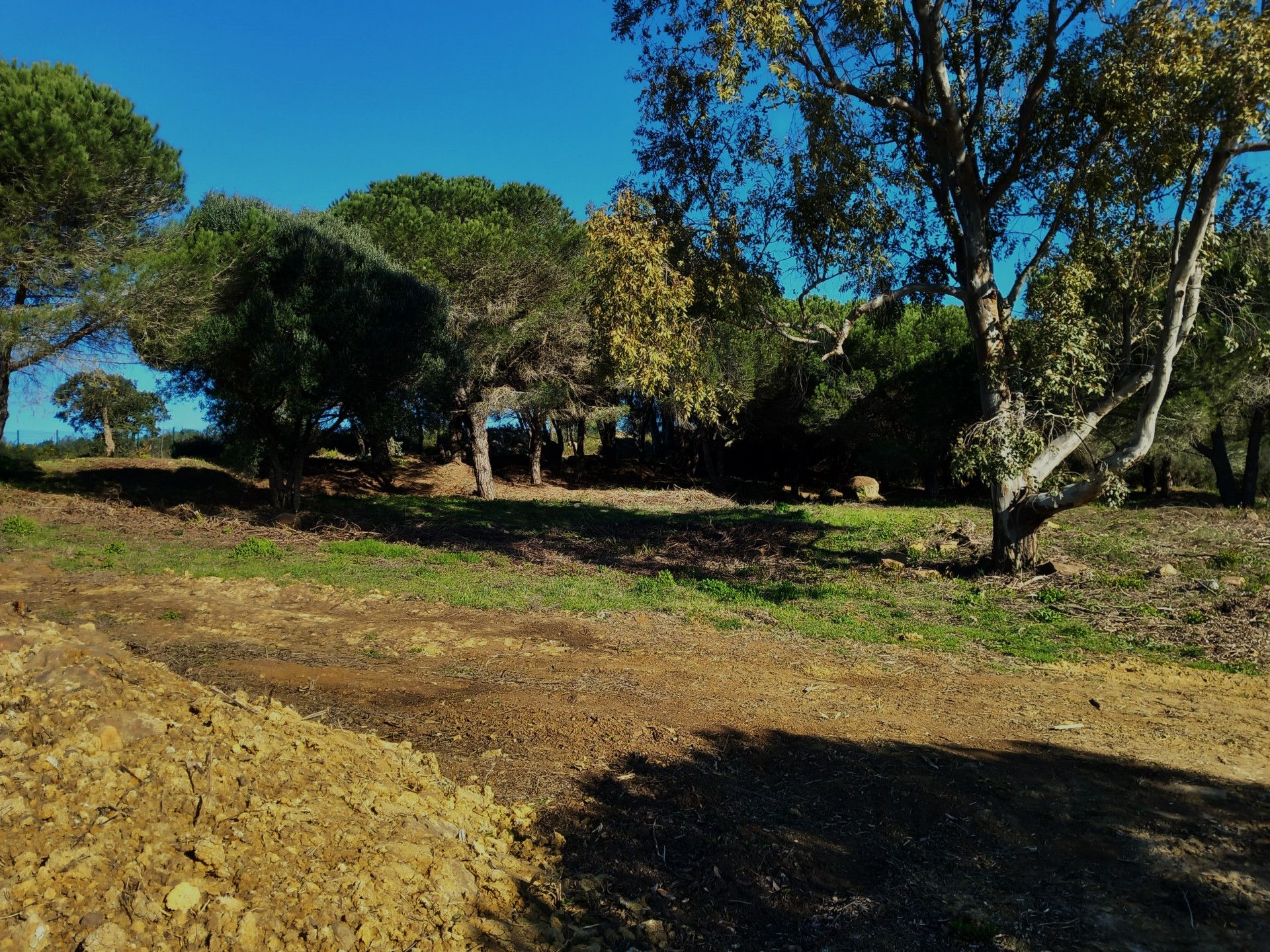 Land i Sotogrande, Andalucía 11503855